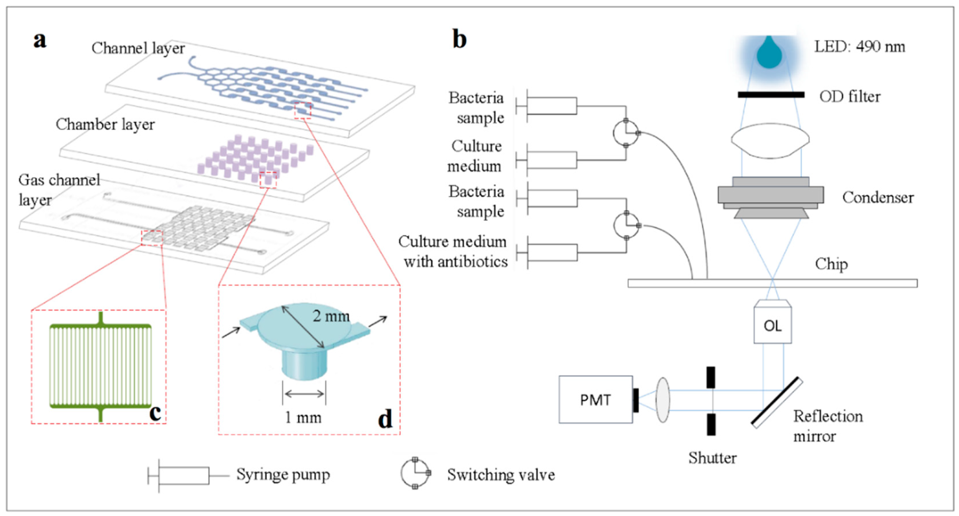 Micromachines 11 00207 g001