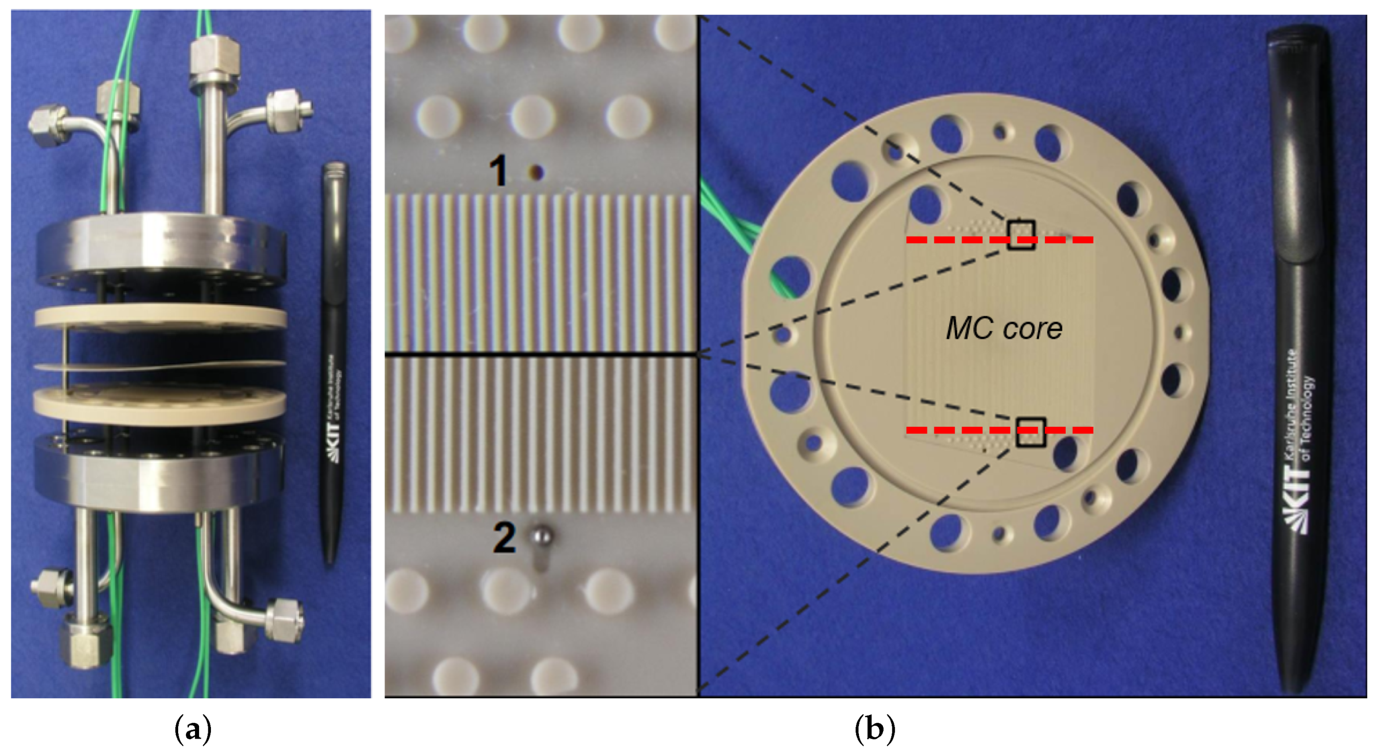 Micromachines 11 00218 g001