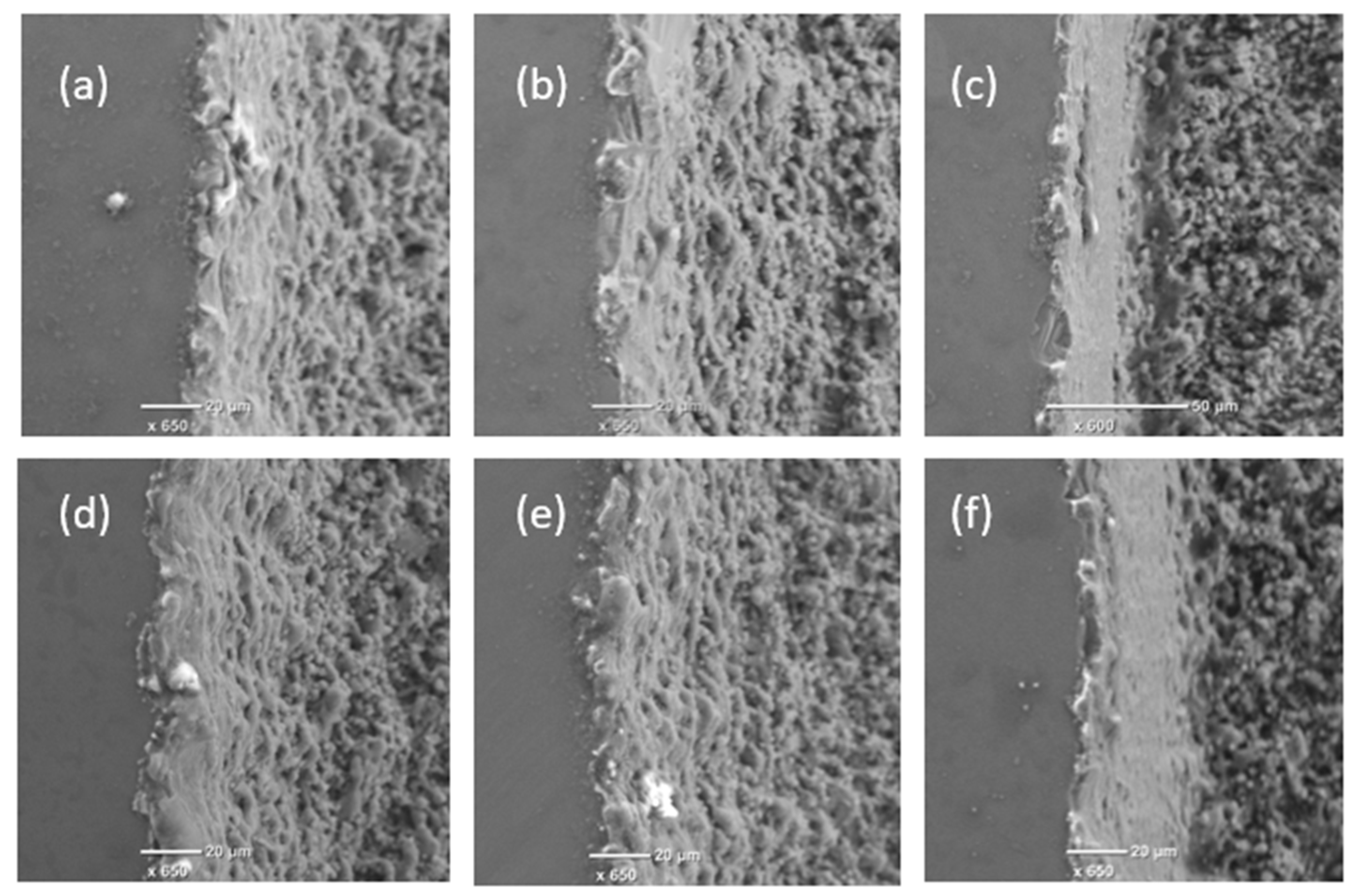 Micromachines 11 00221 g003