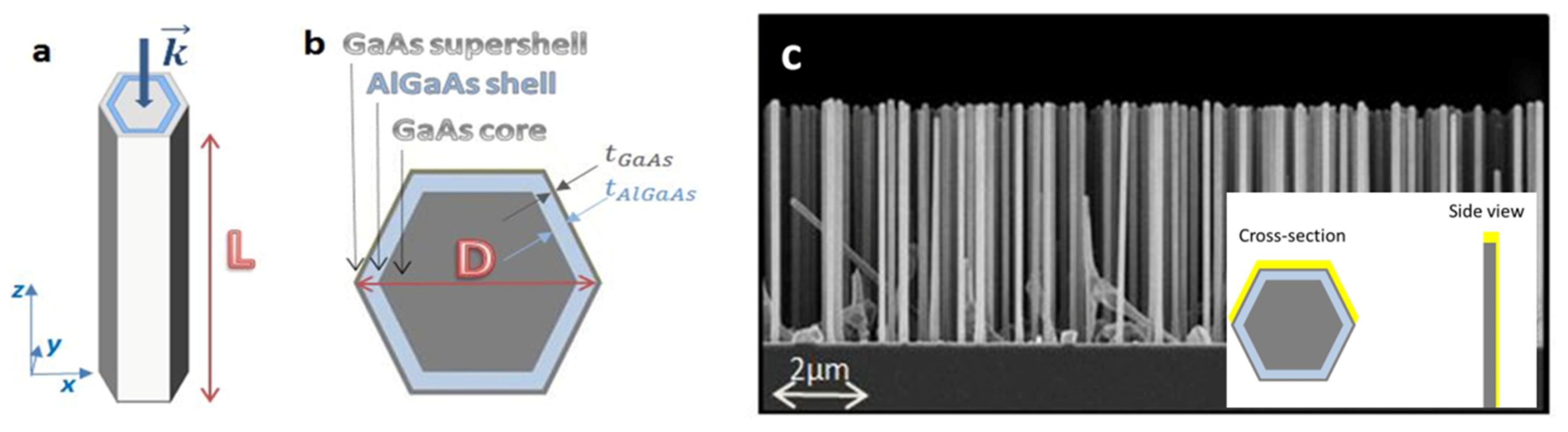 Micromachines 11 00225 g001