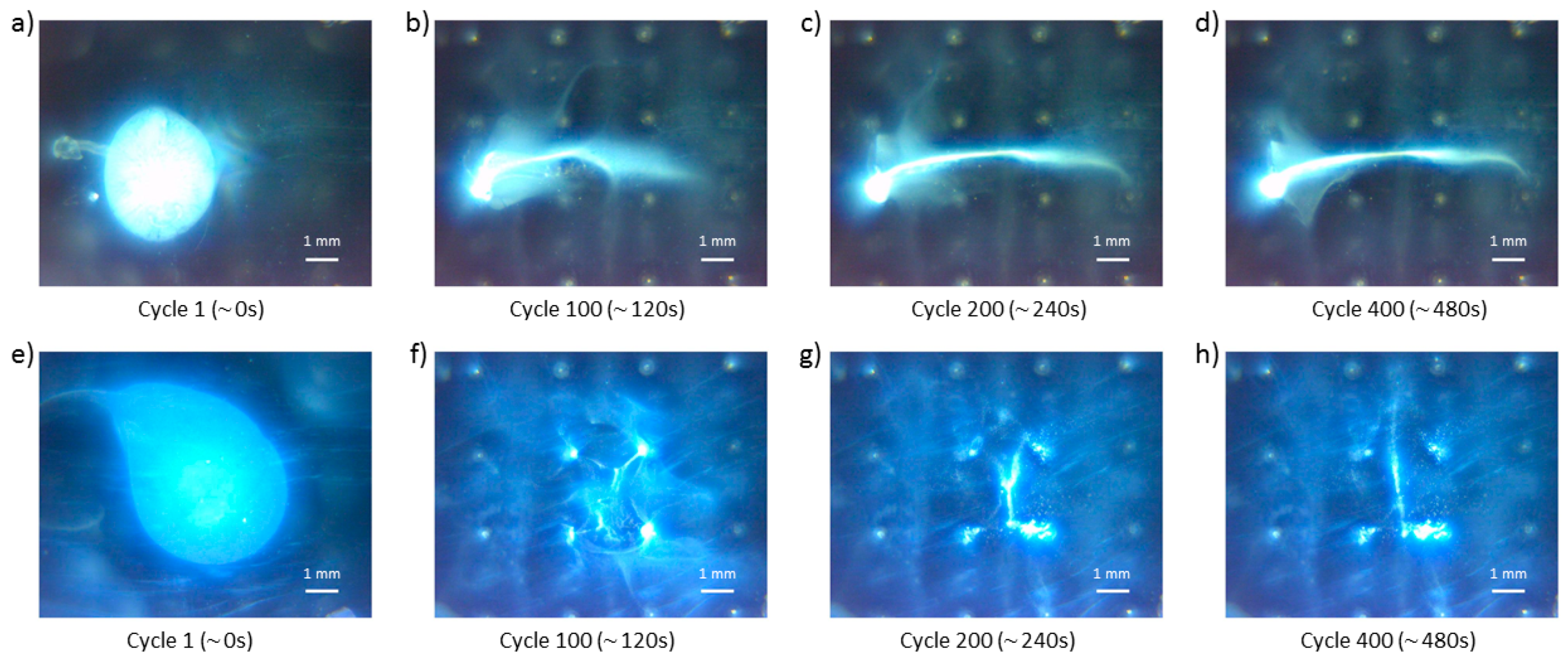 Micromachines 11 00226 g015 Micromachines 11 00226 g015