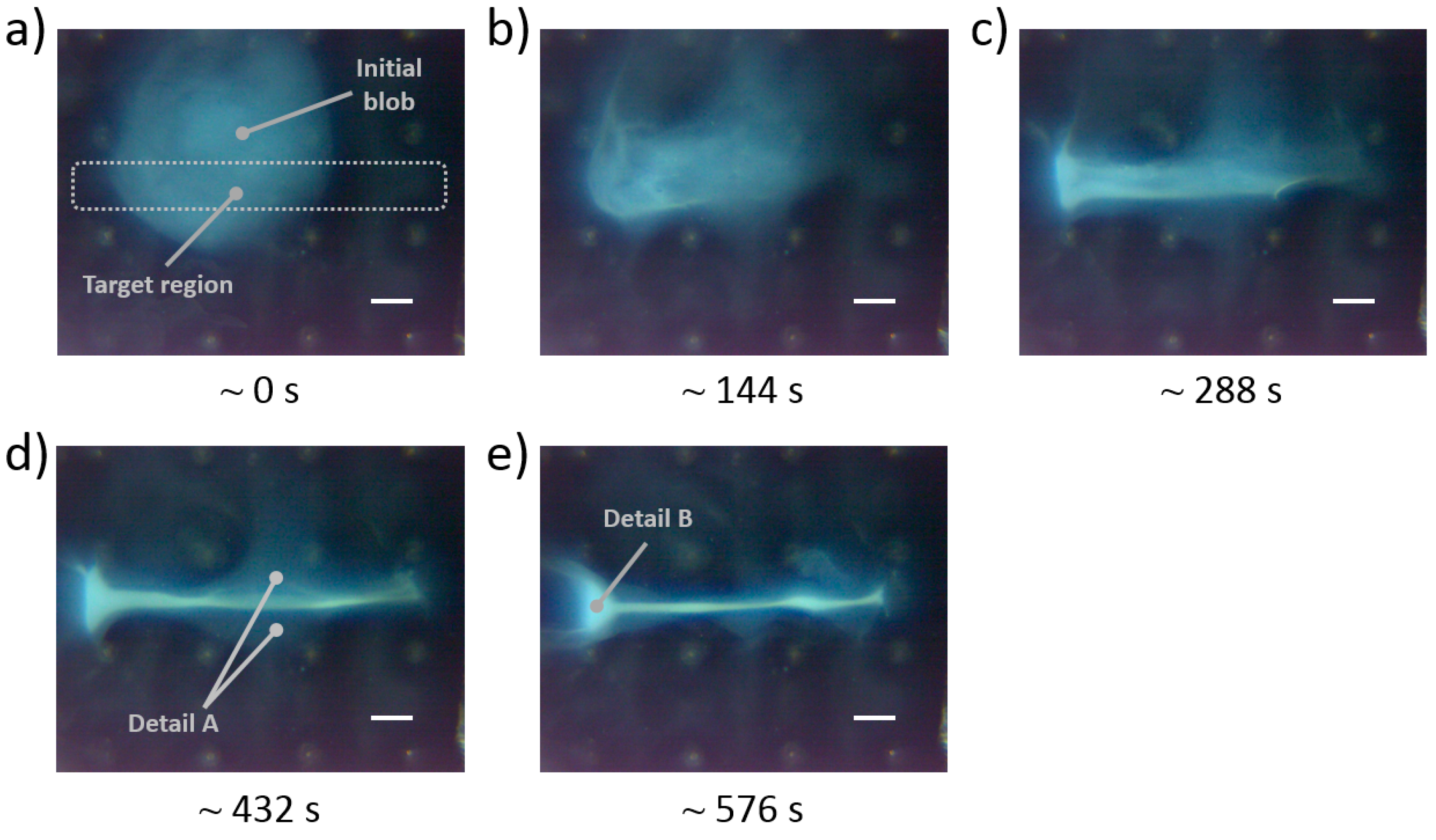 Micromachines 11 00226 g016 Micromachines 11 00226 g016