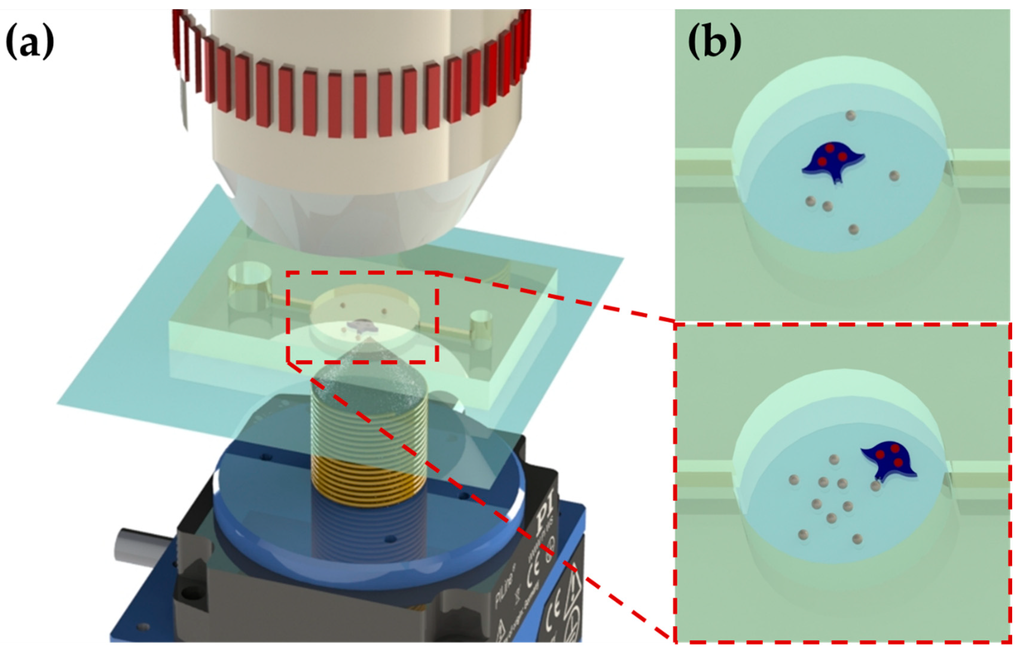 Micromachines 11 00231 g001