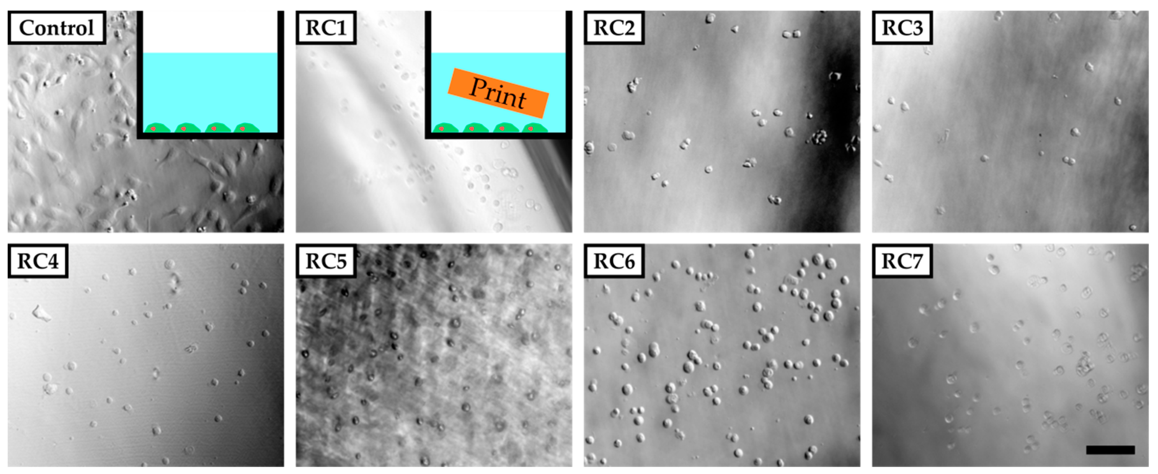 Micromachines 11 00246 g002 Micromachines 11 00246 g002