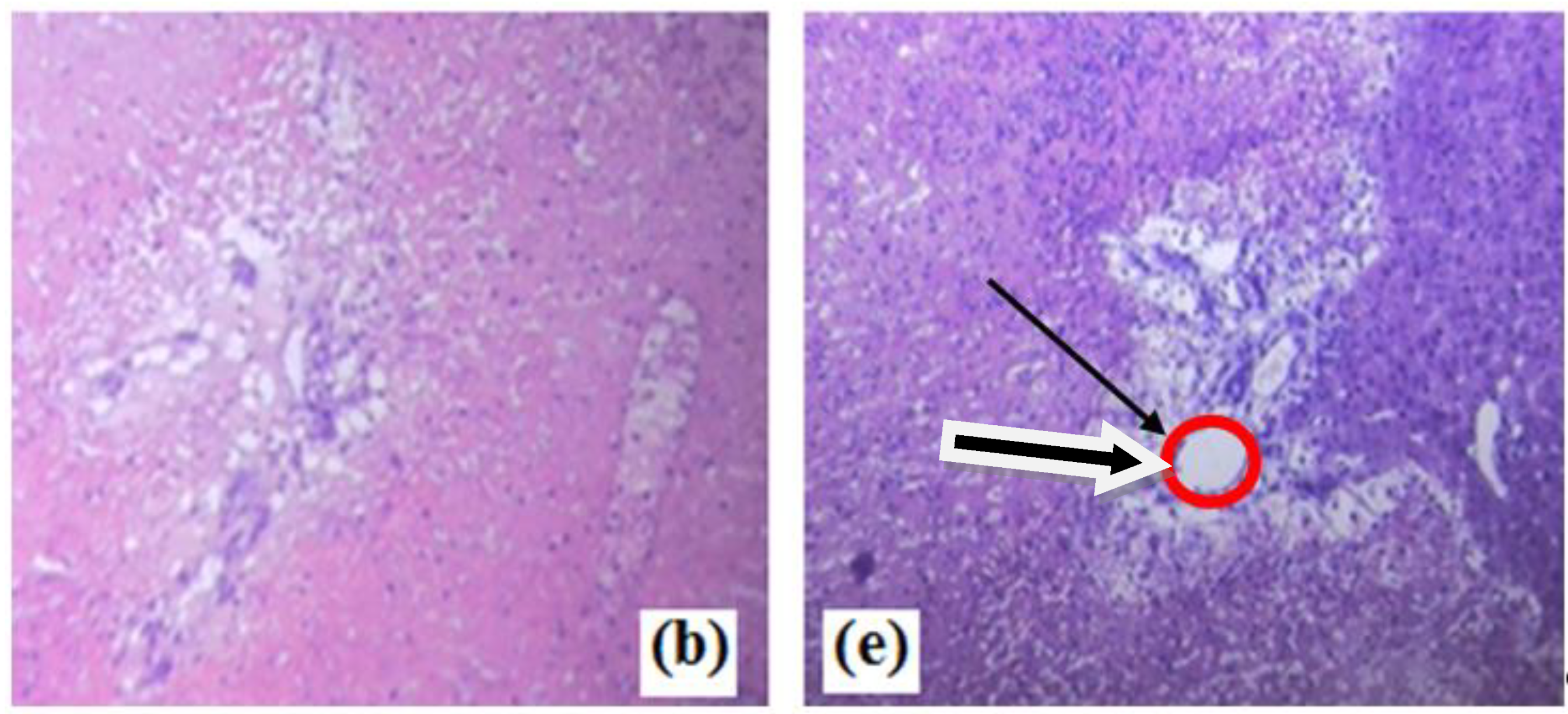 Micromachines 11 00262 g002 Micromachines 11 00262 g002