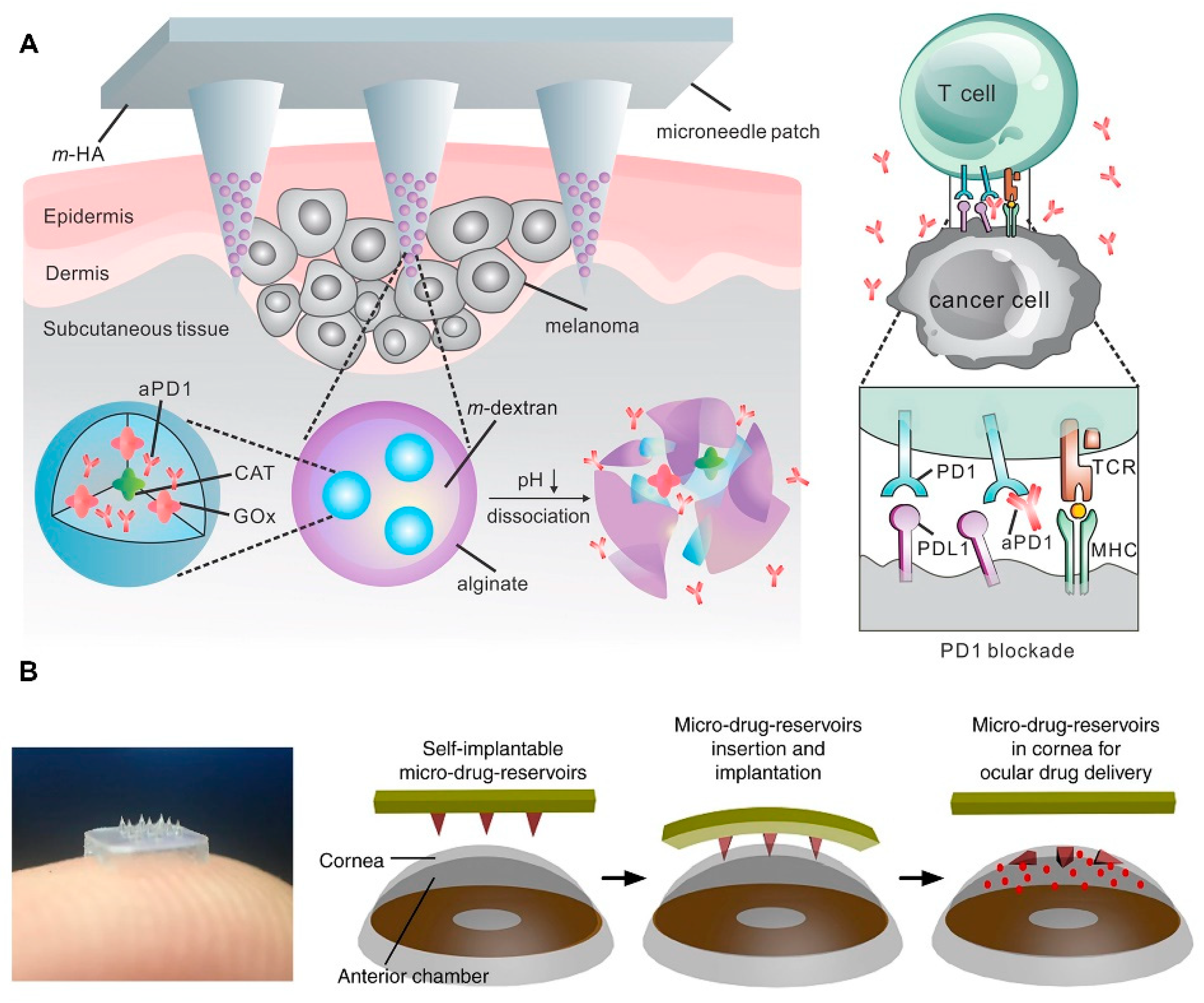 Micromachines 11 00271 g007