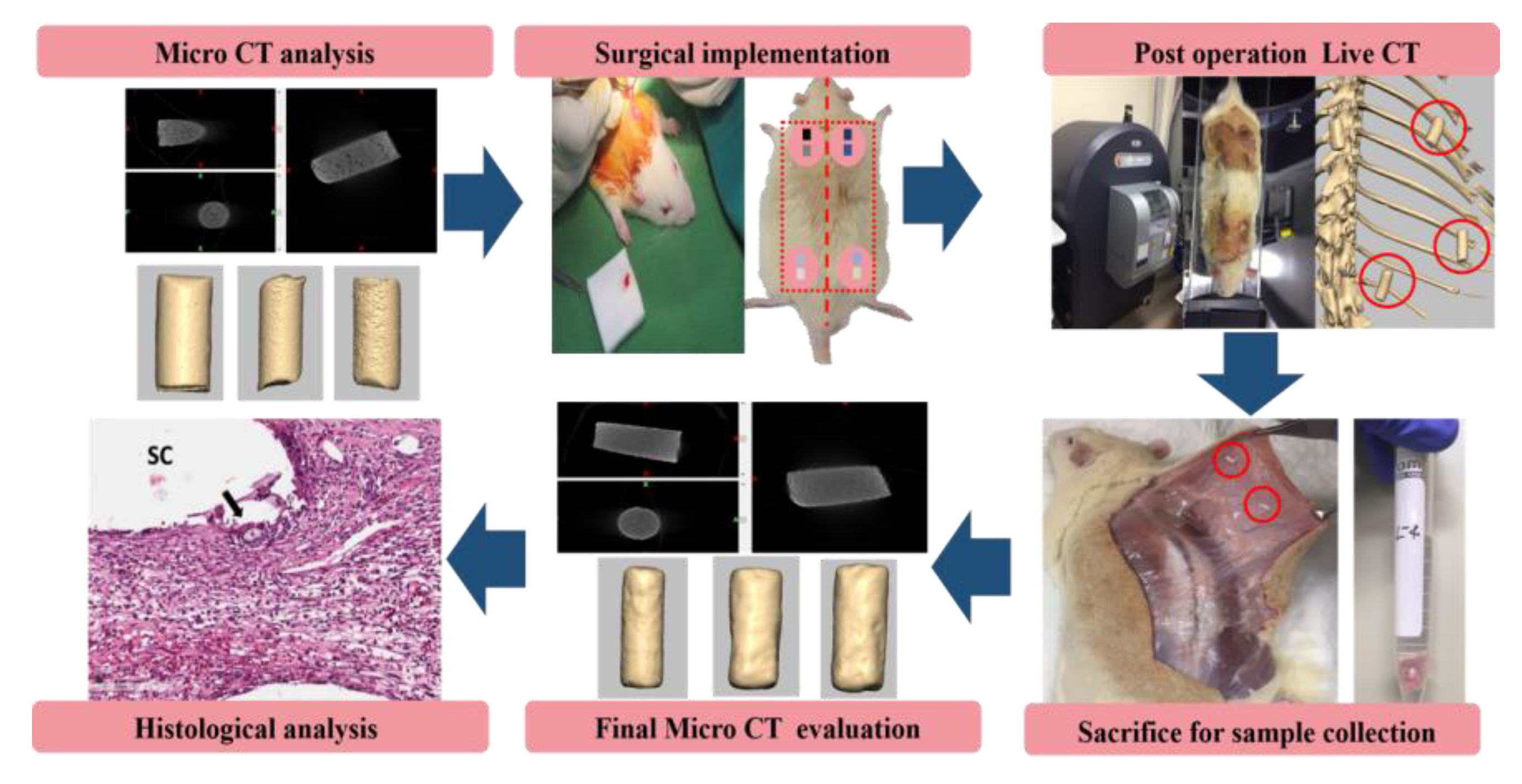 Micromachines 11 00273 g001