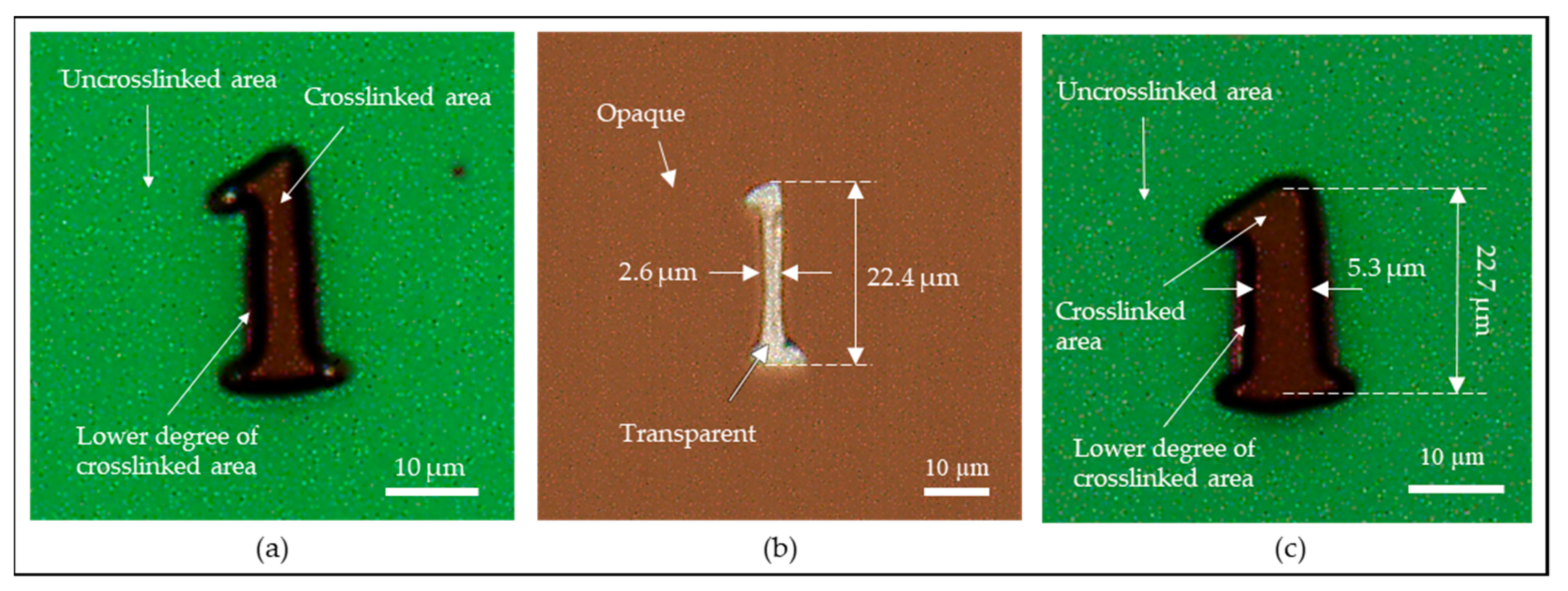 Micromachines 11 00277 g010