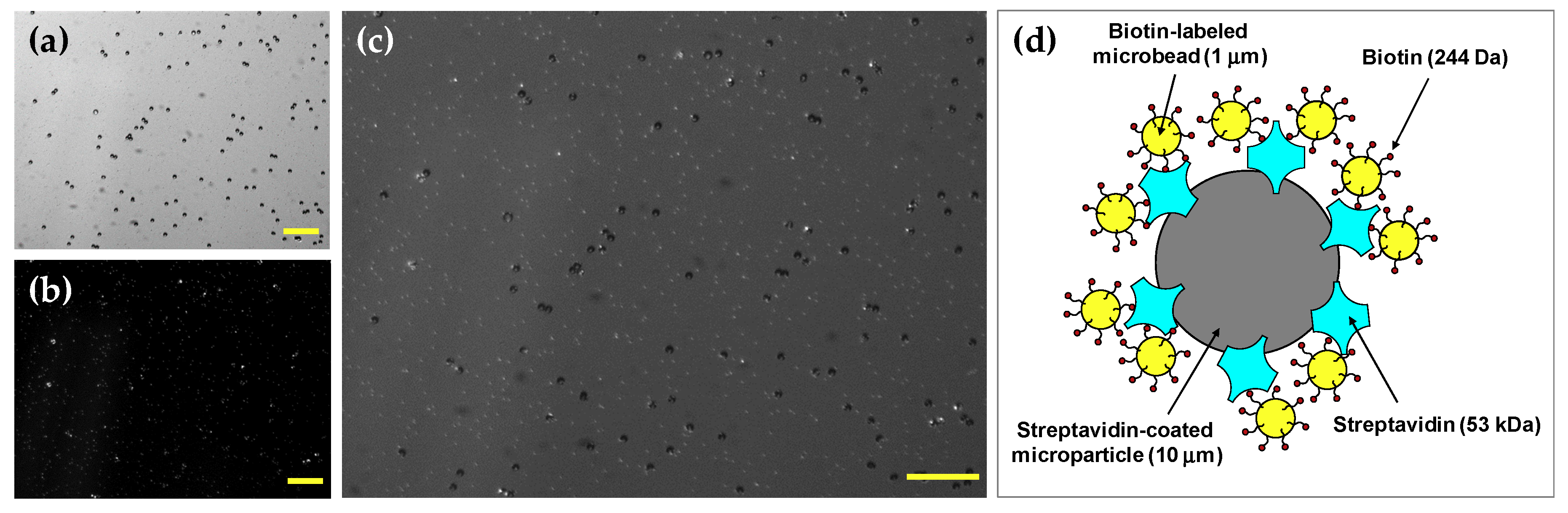 Micromachines 11 00280 g003