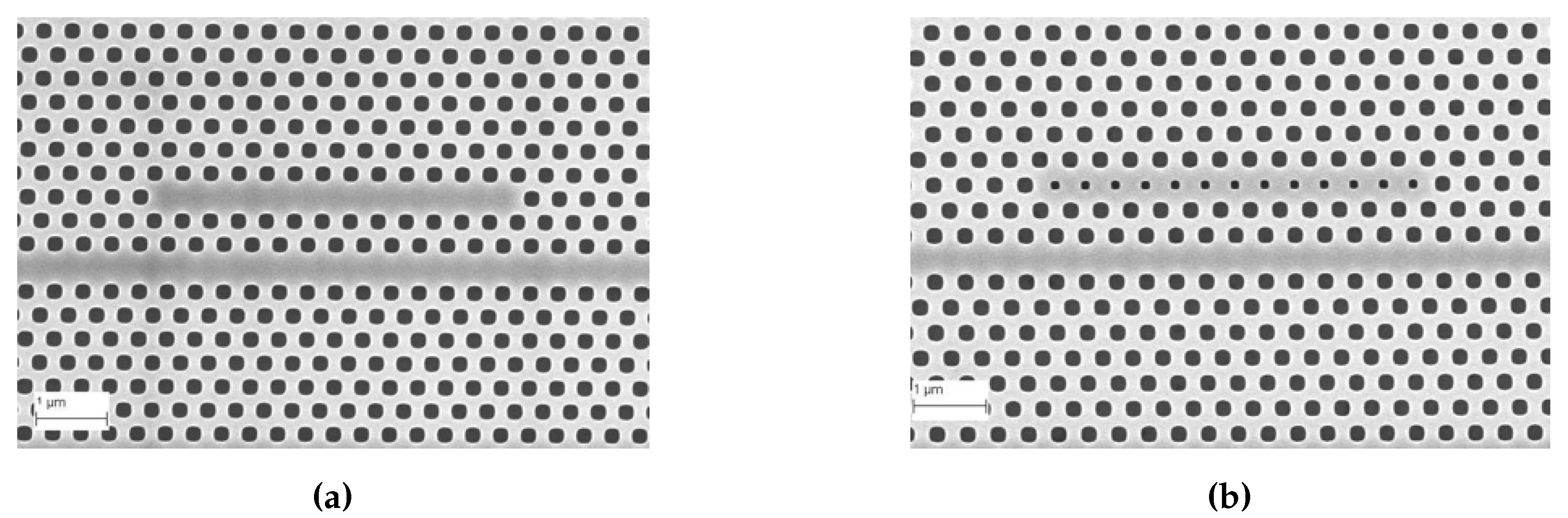 Micromachines 11 00282 g004 Micromachines 11 00282 g004