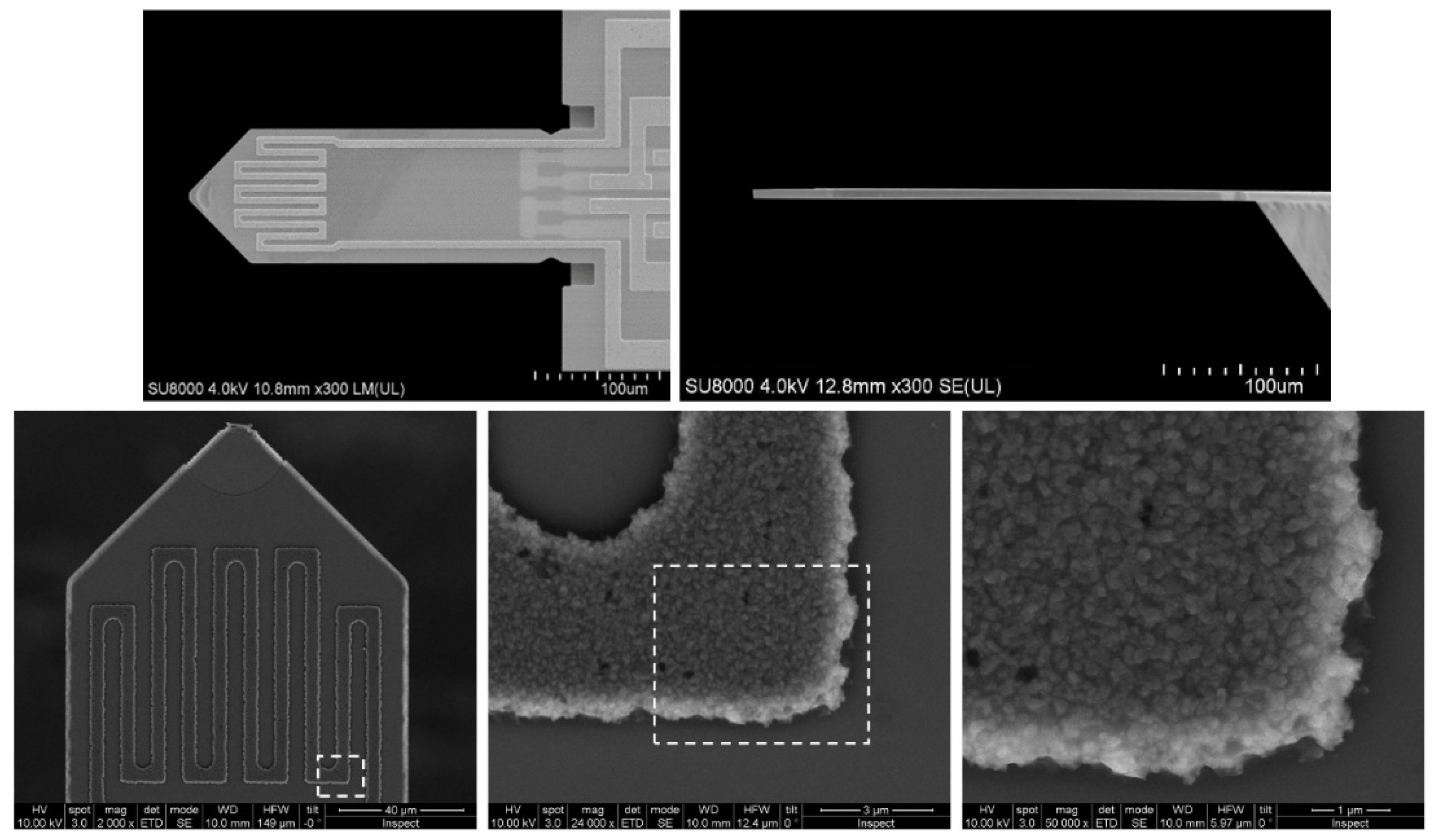 Micromachines 11 00283 g001