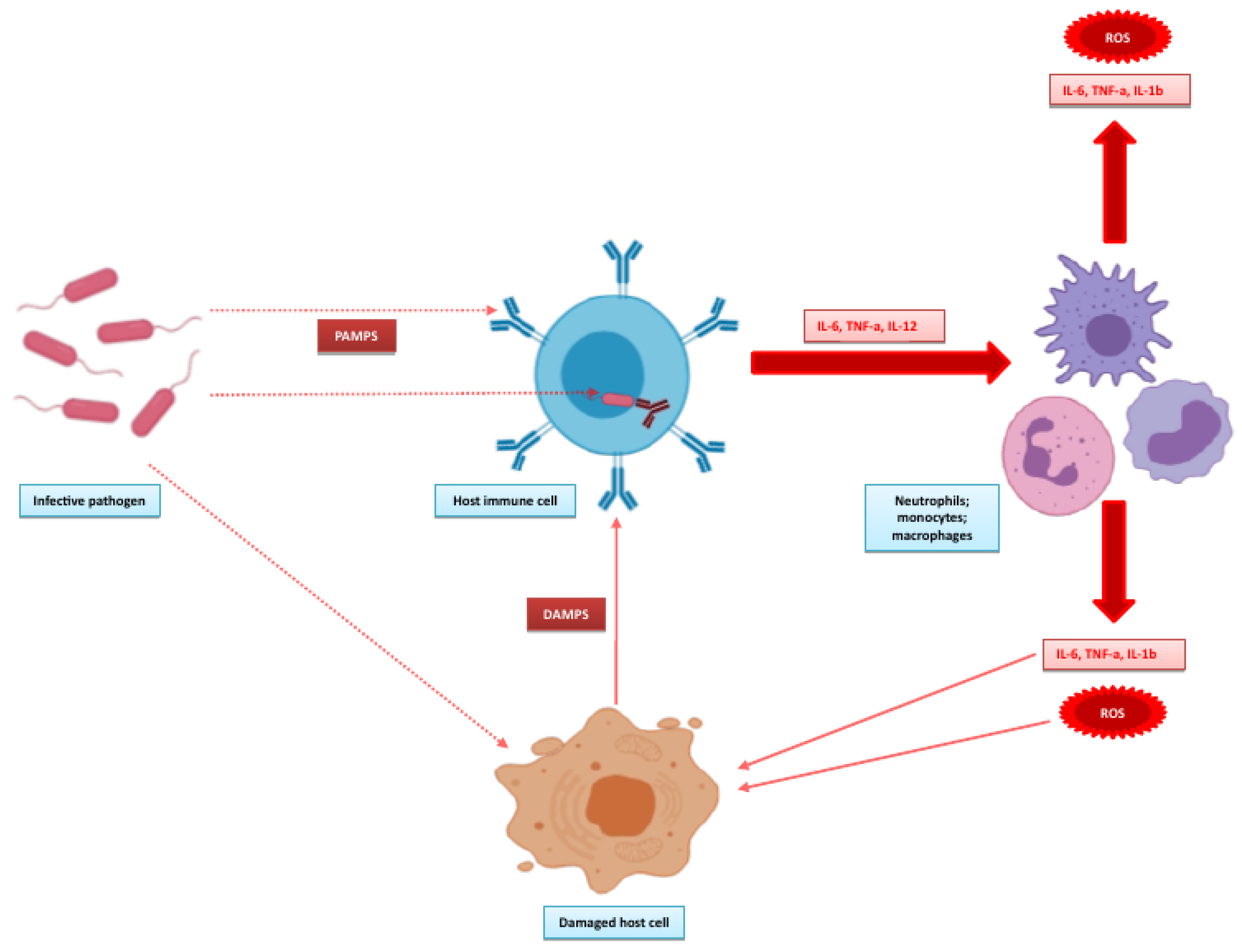 Micromachines 11 00286 g002