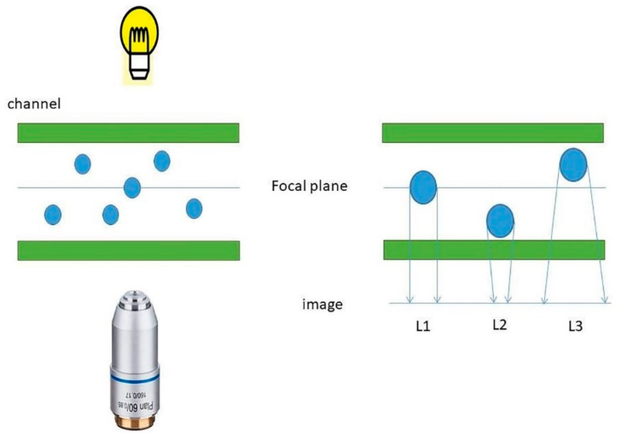 Micromachines 11 00293 g002