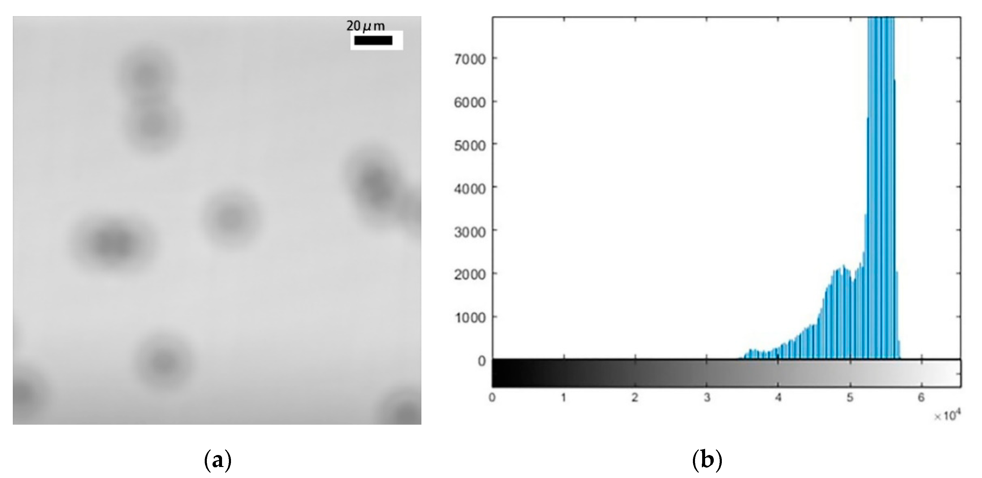 Micromachines 11 00293 g003