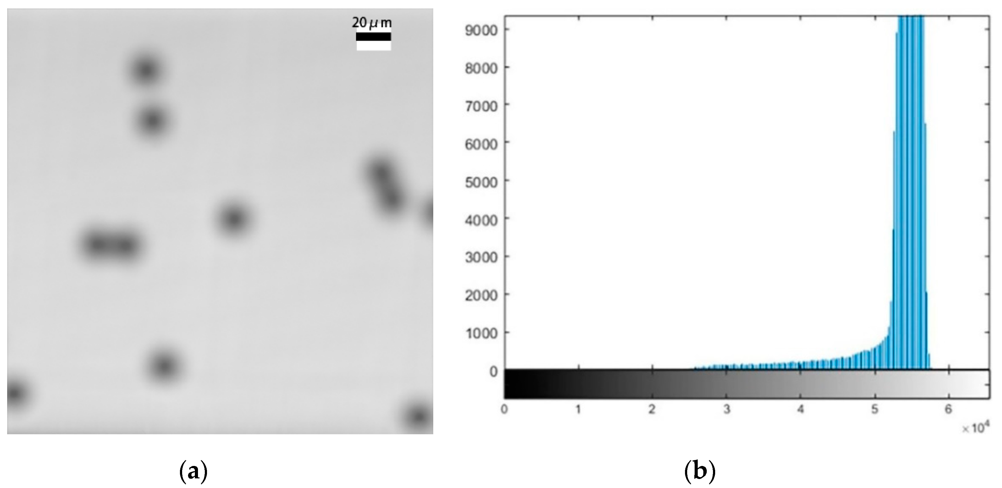 Micromachines 11 00293 g004