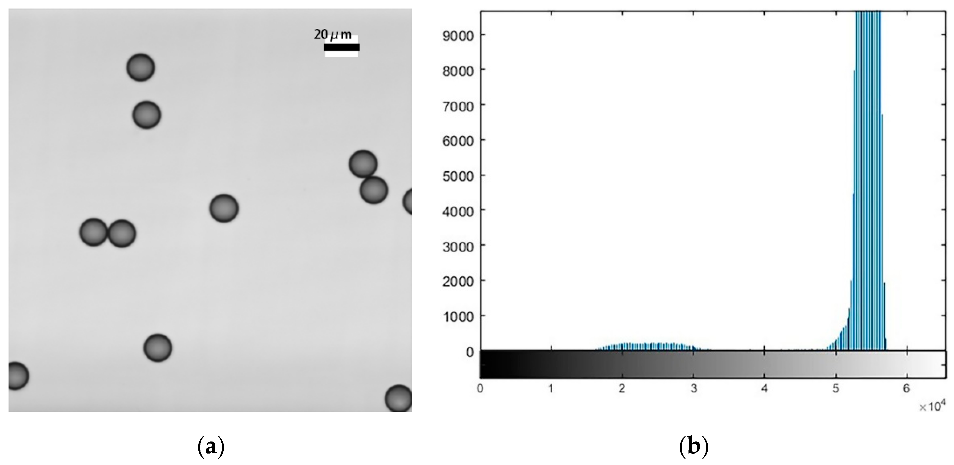Micromachines 11 00293 g005