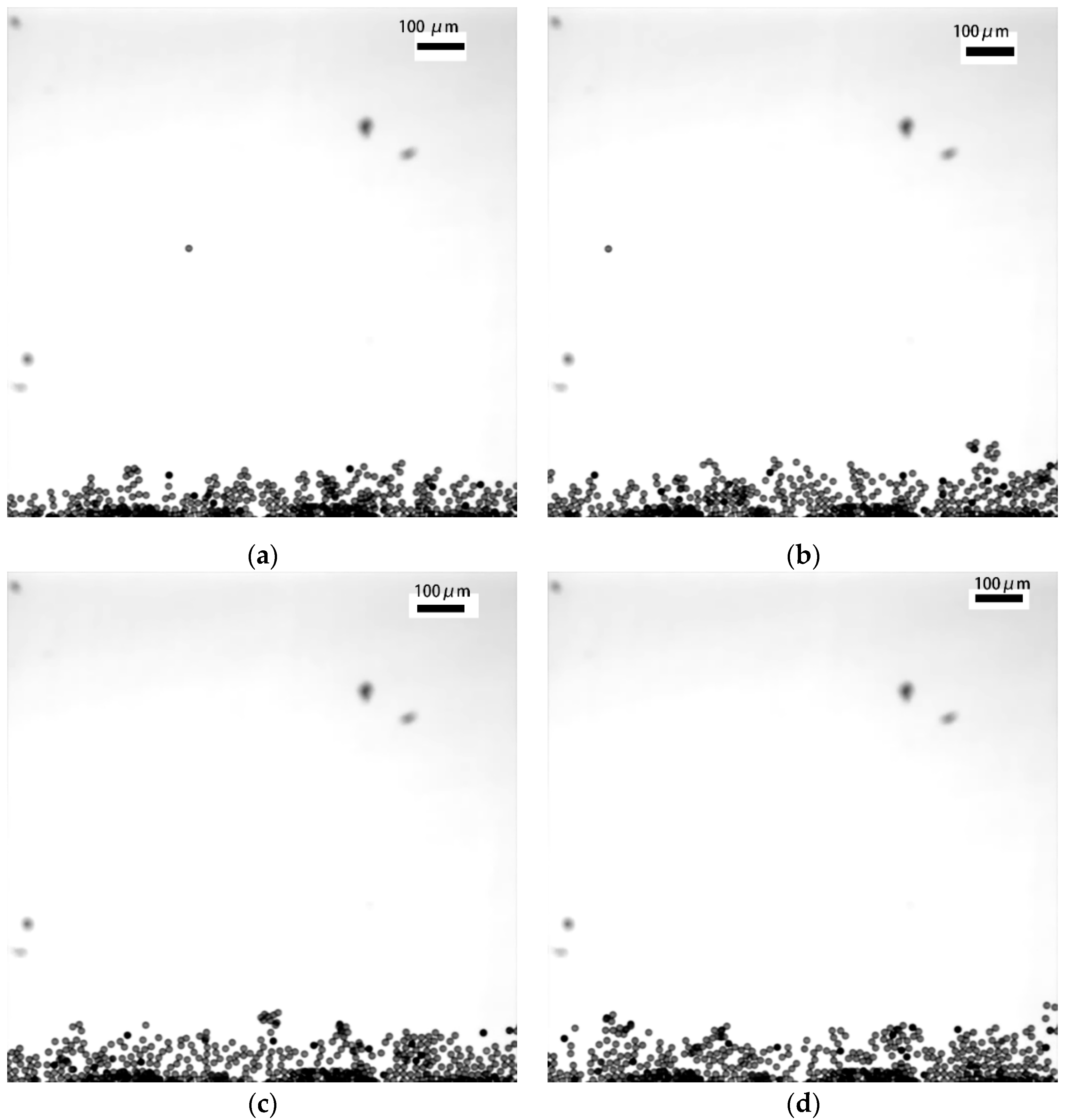 Micromachines 11 00293 g006