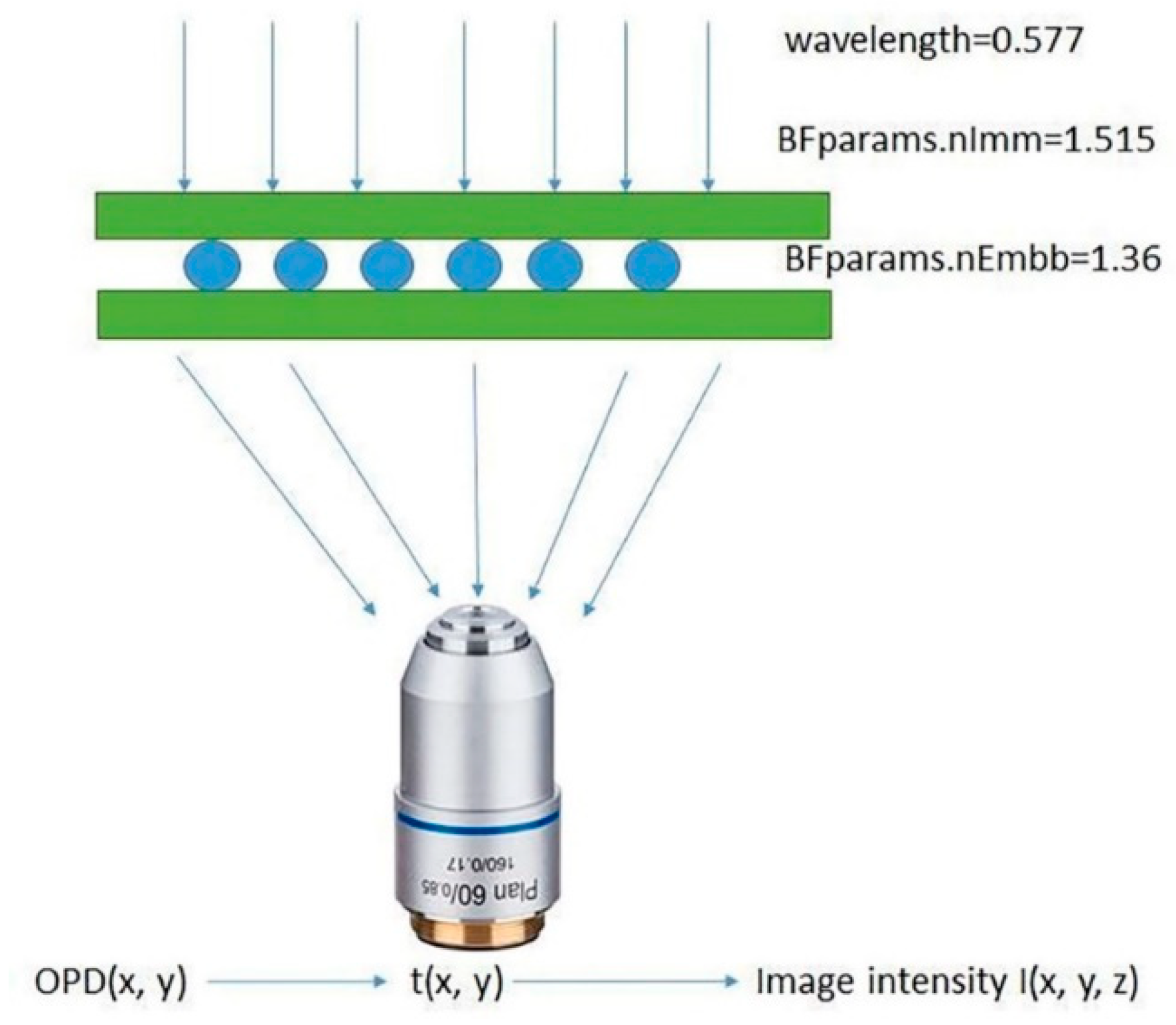 Micromachines 11 00293 g008