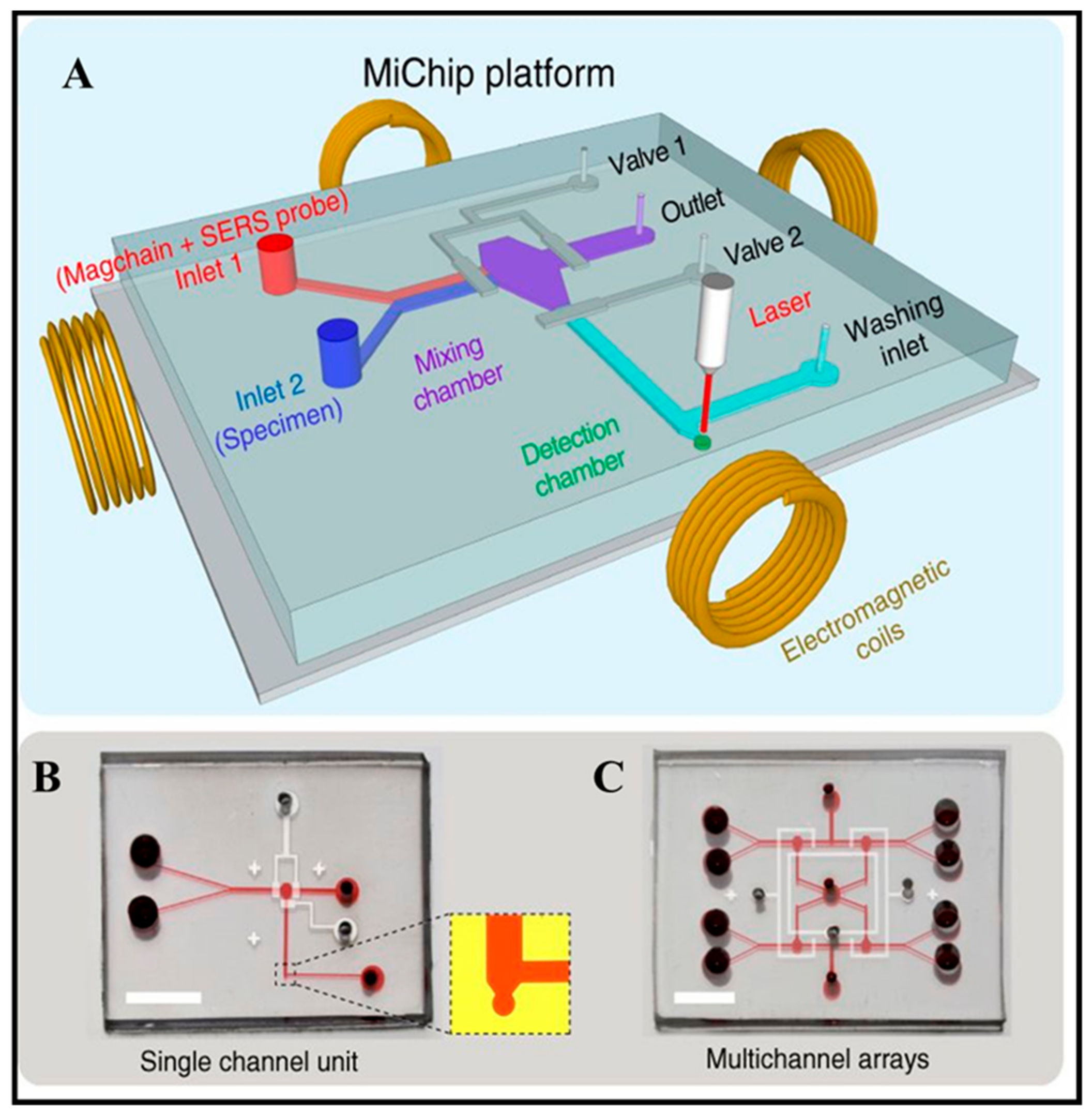 Micromachines 11 00302 g002