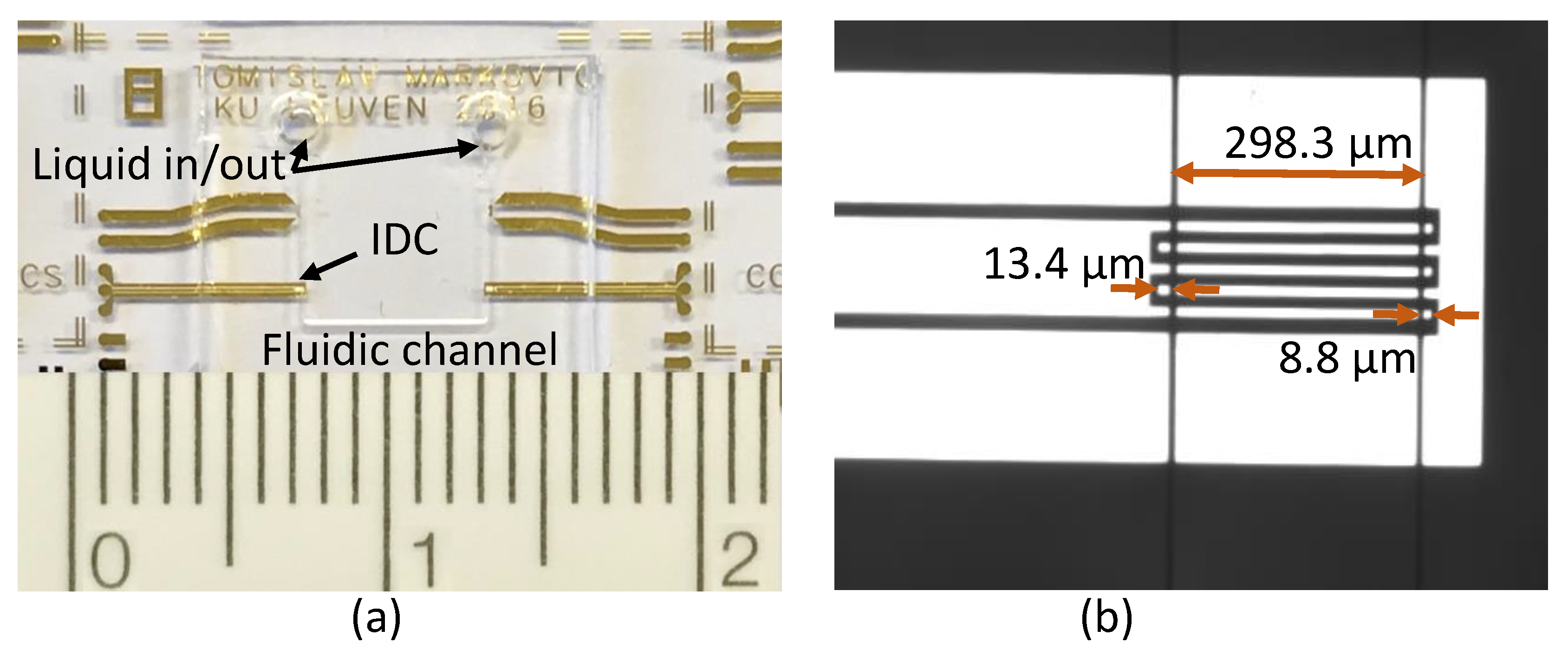 Micromachines 11 00320 g003