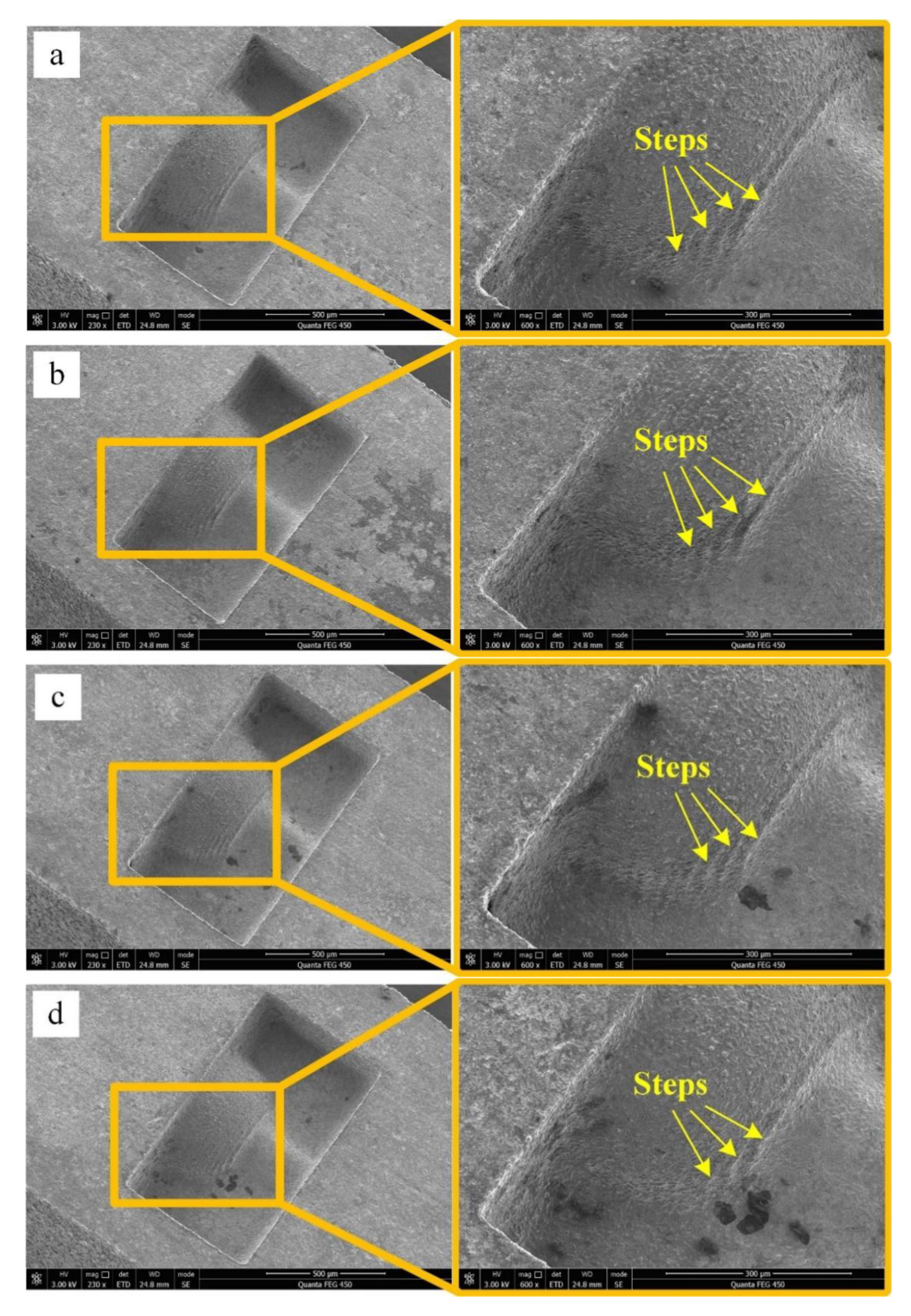 Micromachines 11 00335 g003a