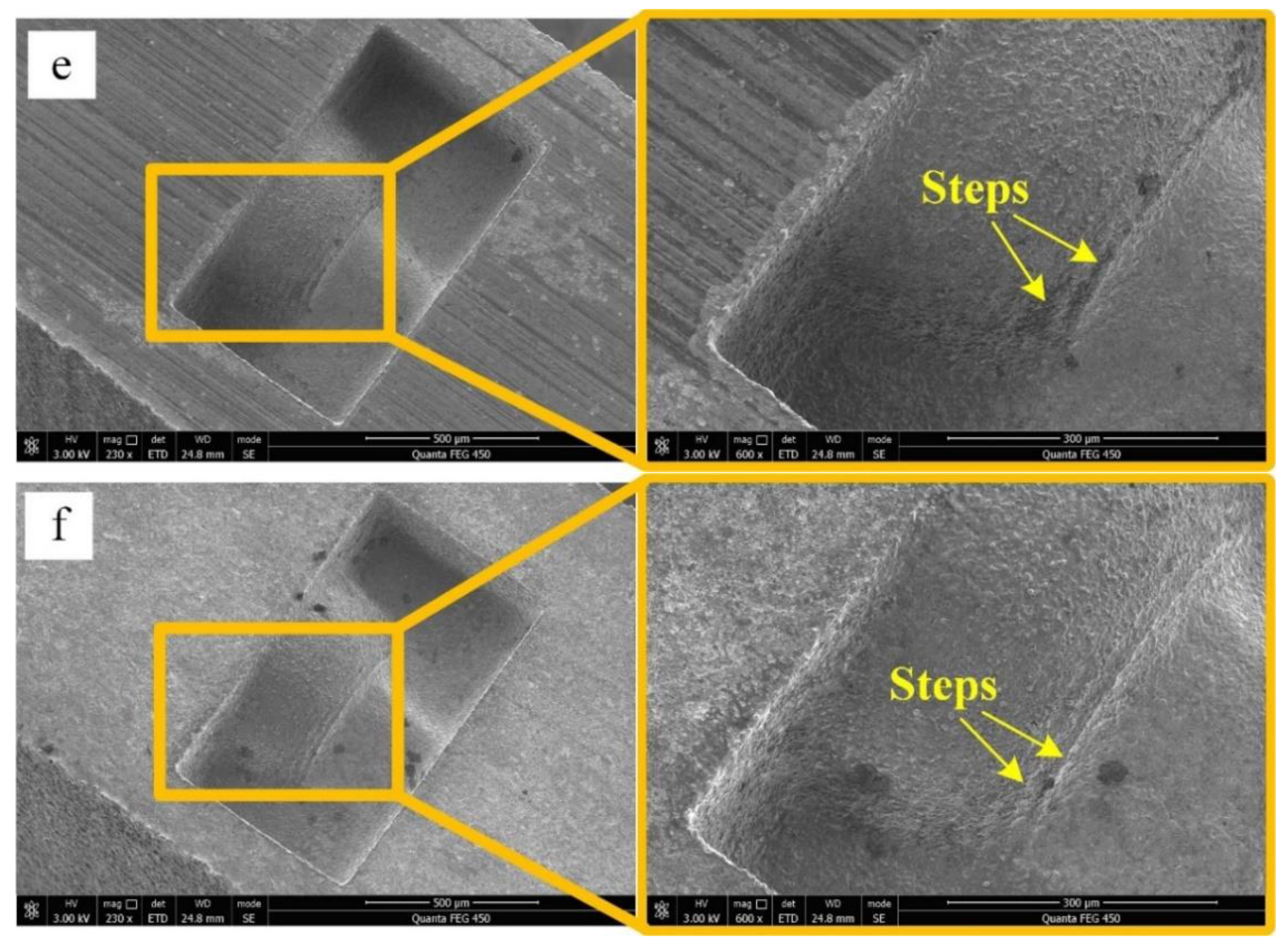 Micromachines 11 00335 g003b