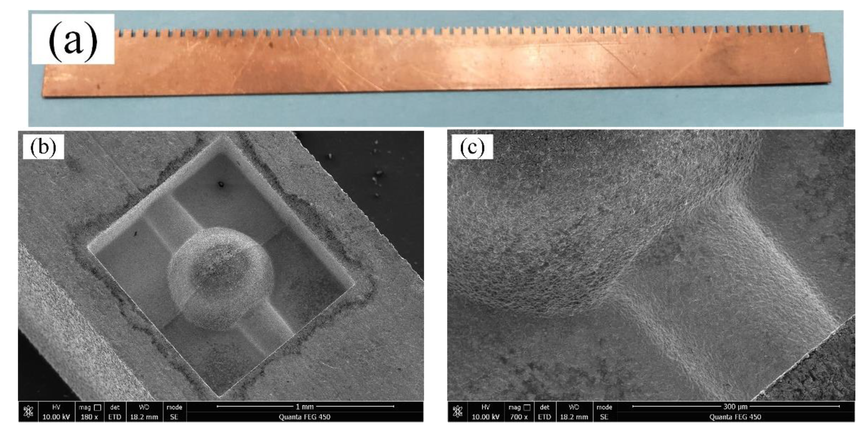 Micromachines 11 00335 g008