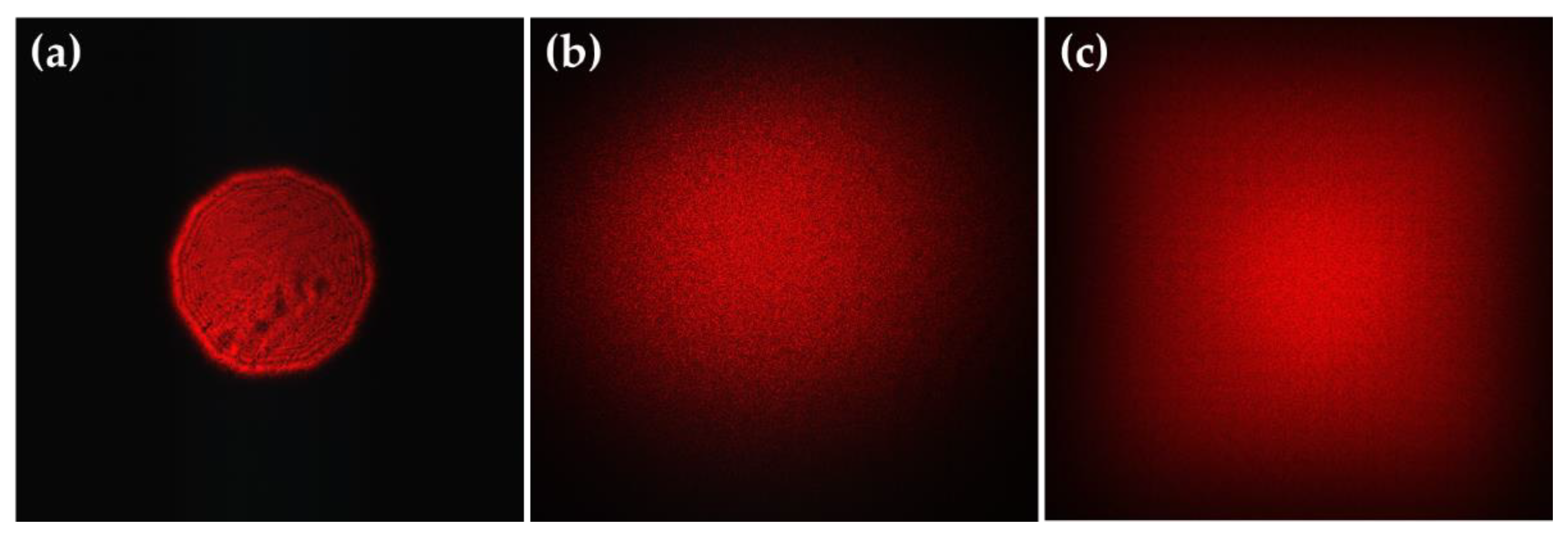 Micromachines 11 00338 g011
