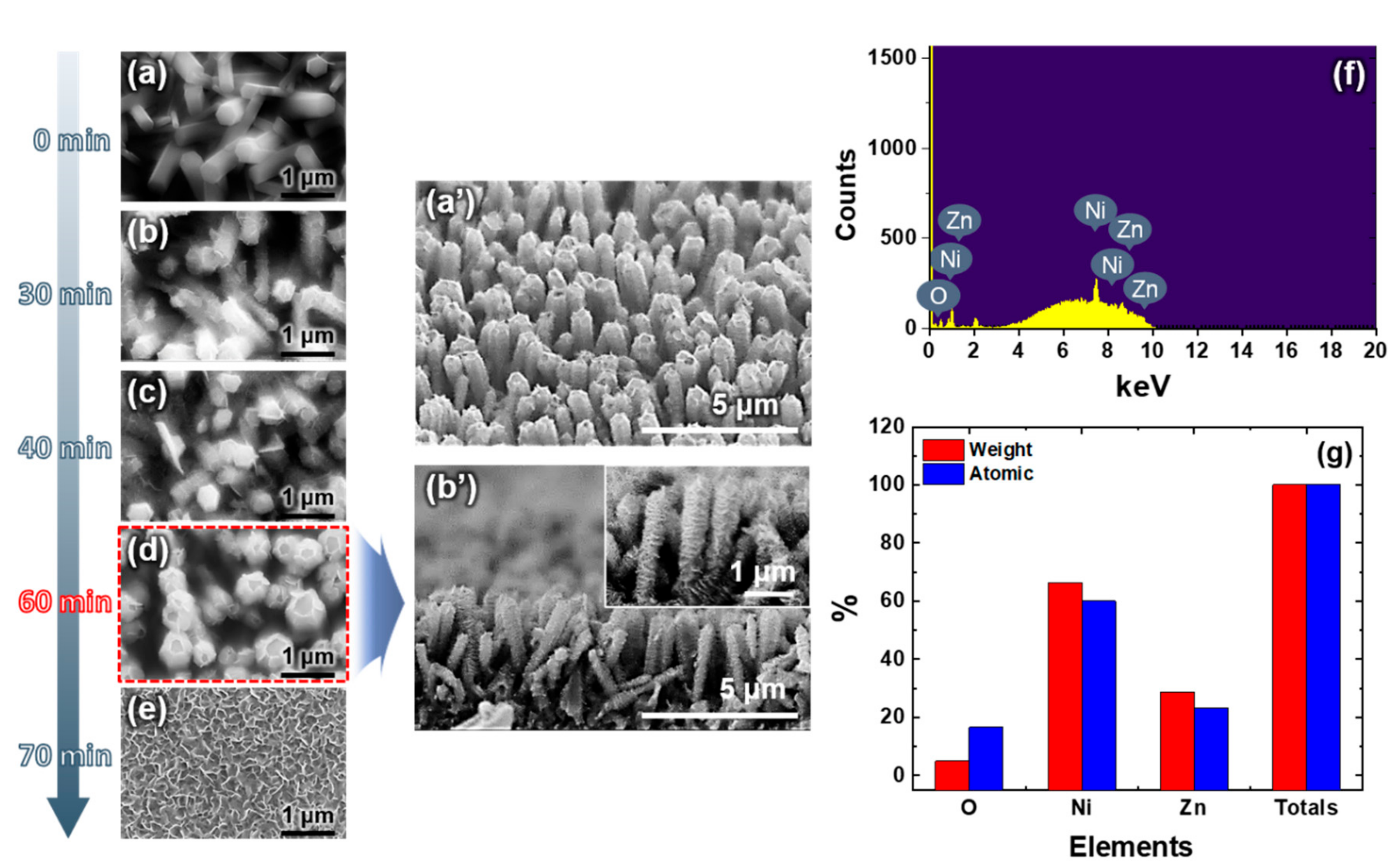 Micromachines 11 00346 g002