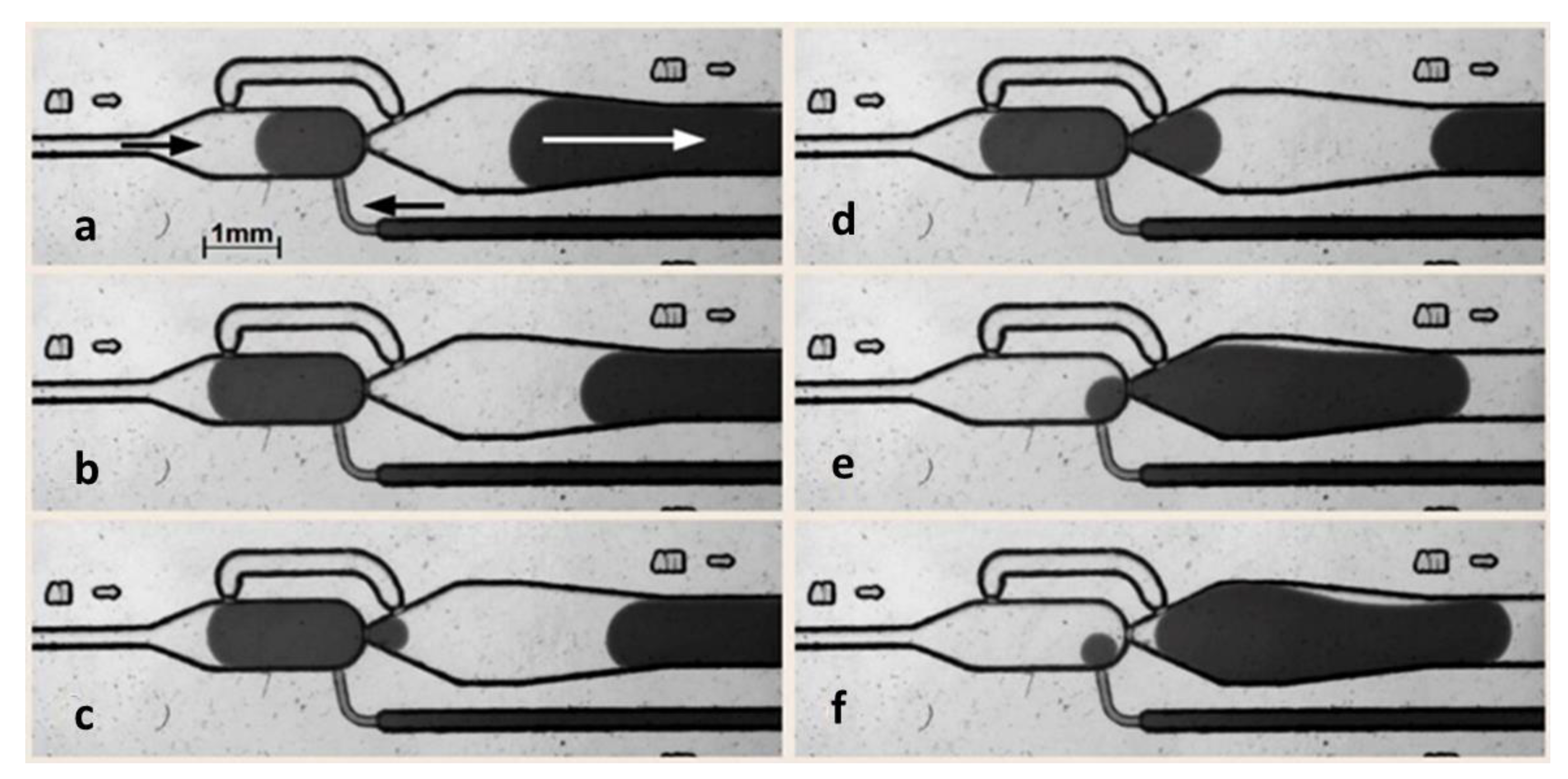 Micromachines 11 00394 g003