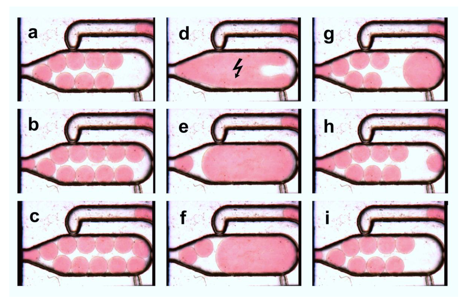 Micromachines 11 00394 g007