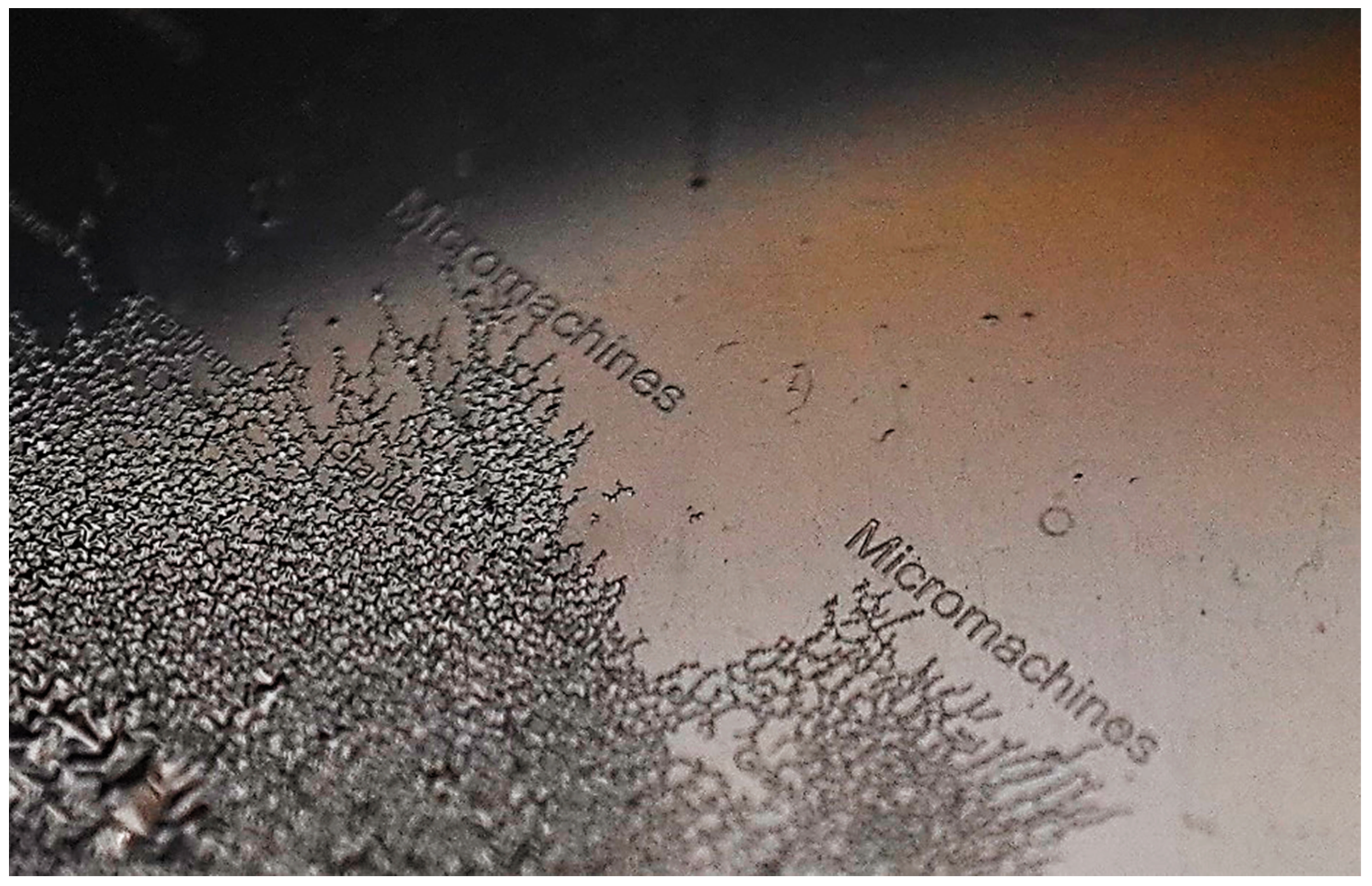 Micromachines 11 00399 g004