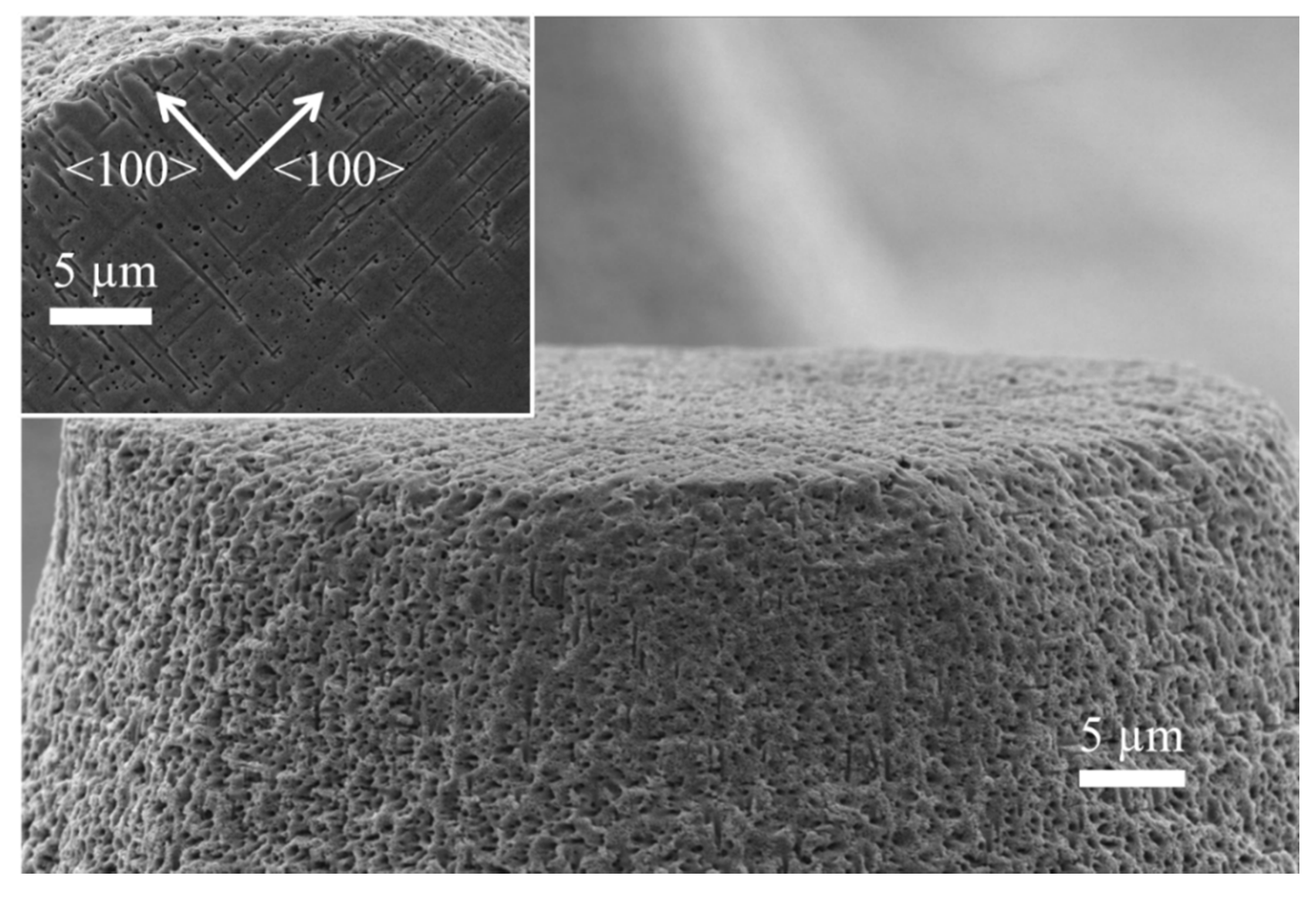 Micromachines 11 00402 g004 Micromachines 11 00402 g004