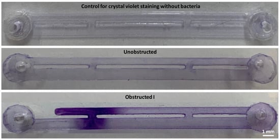 Micromachines 11 00408 g0a2