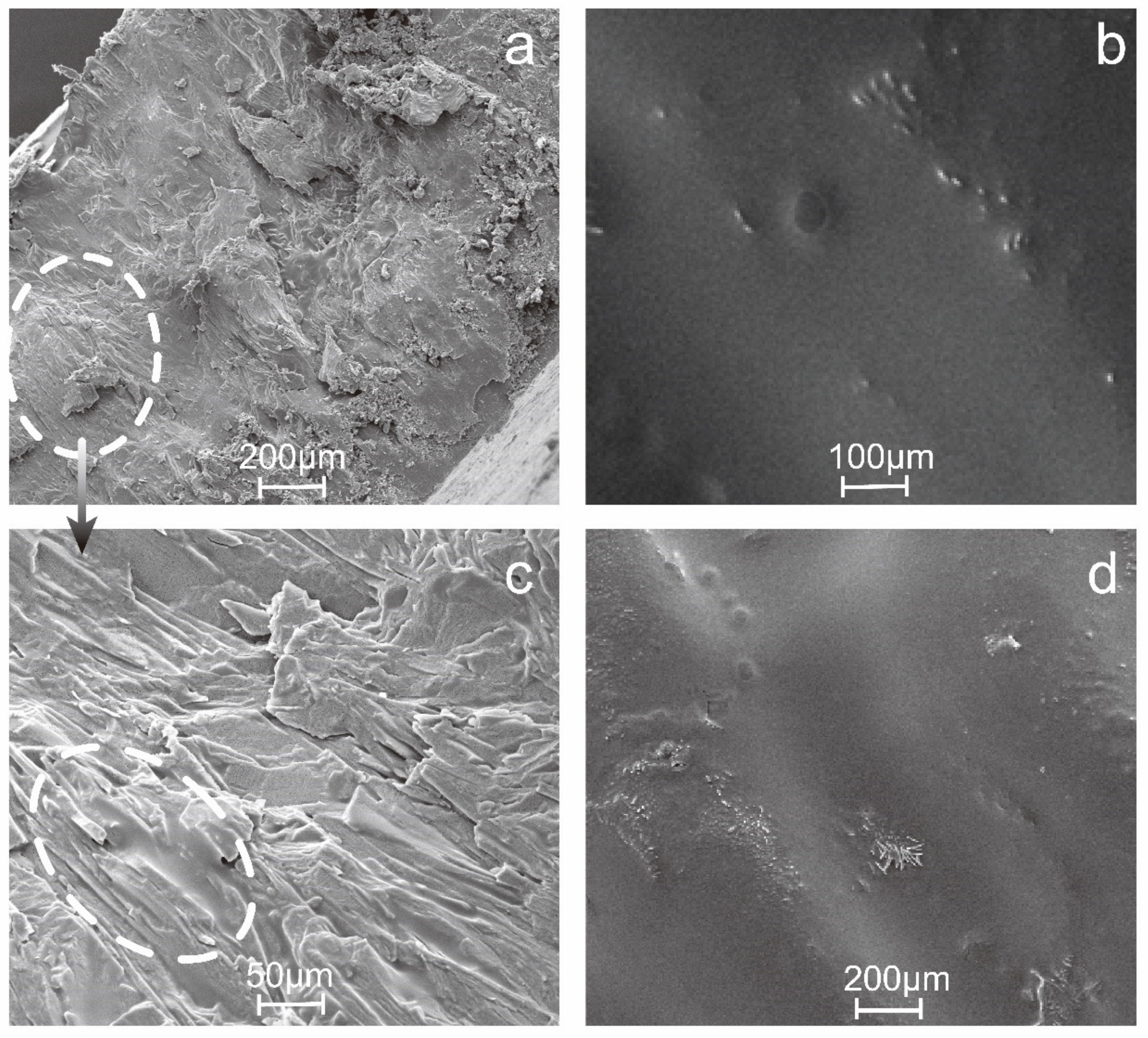 Micromachines 11 00415 g004