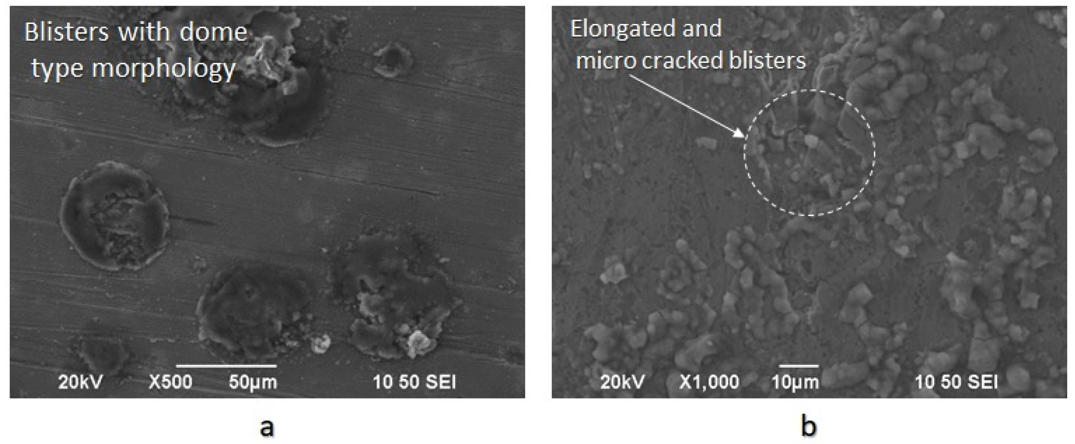 Micromachines 11 00430 g012