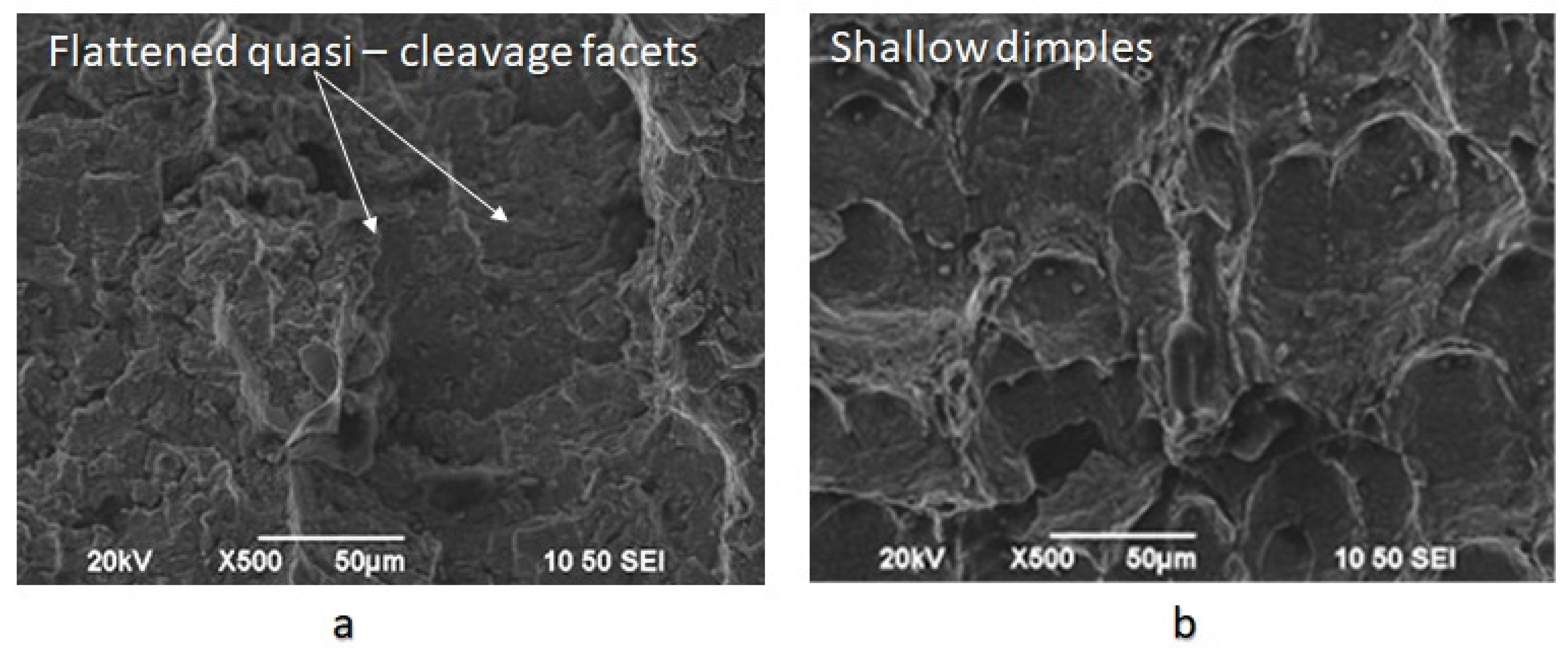 Micromachines 11 00430 g017