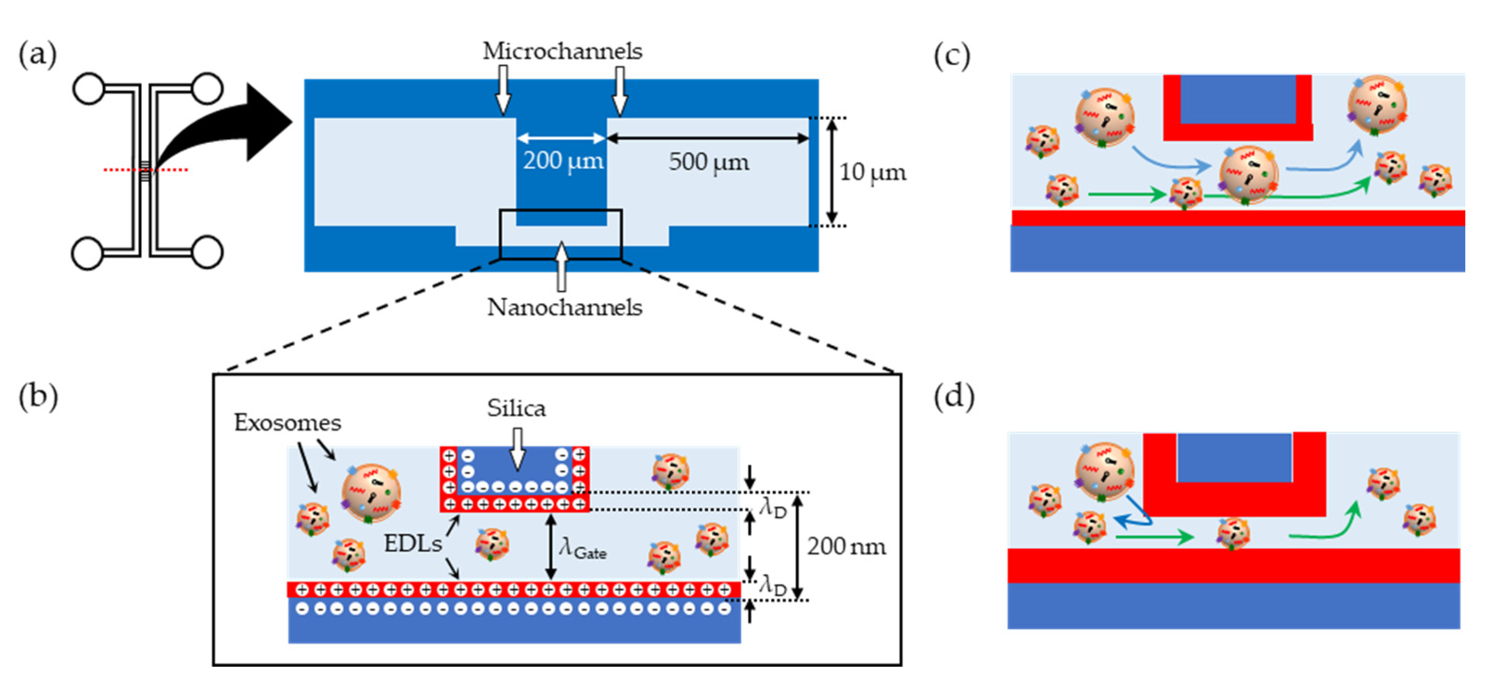 Micromachines 11 00458 g001