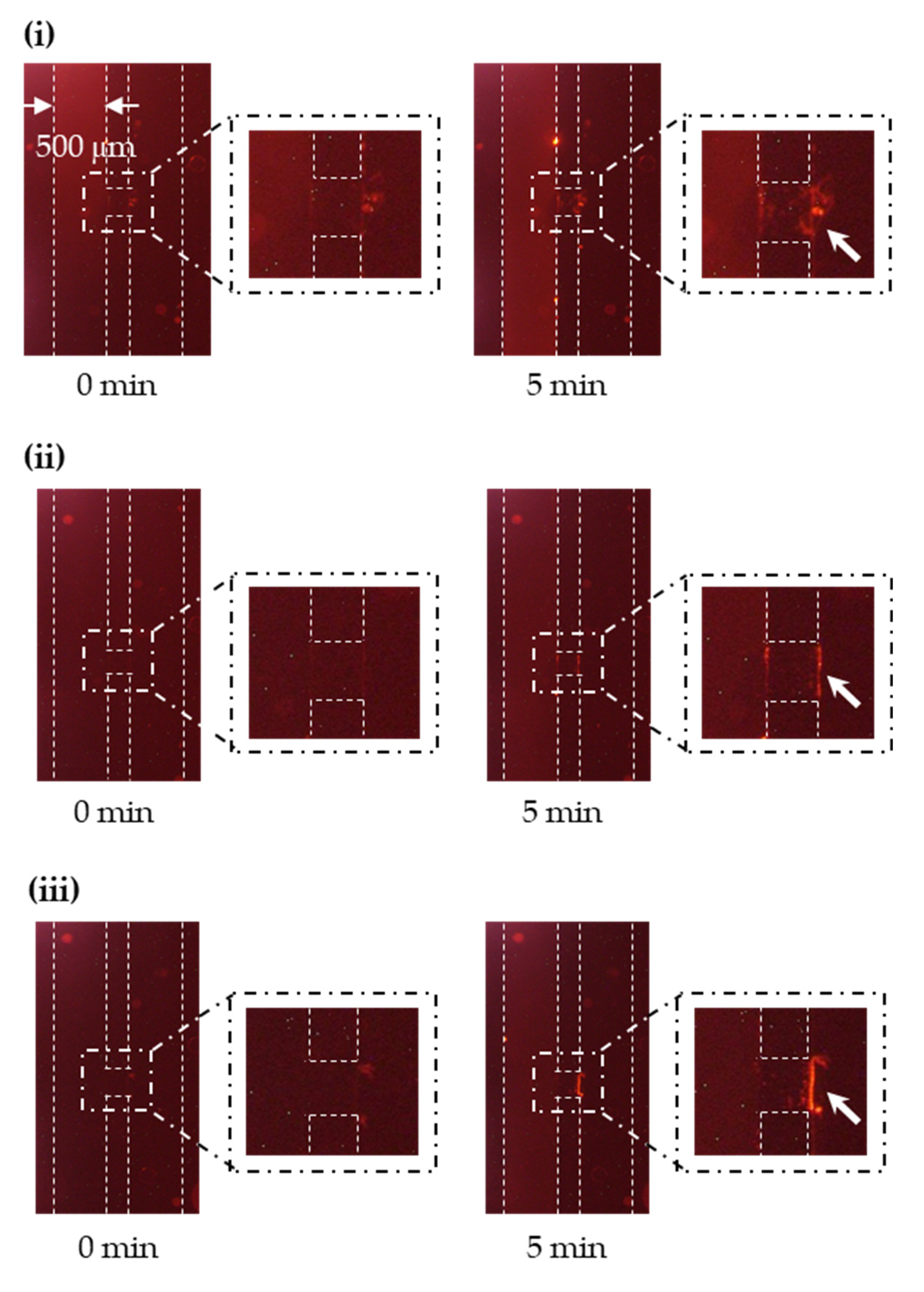 Micromachines 11 00458 g004