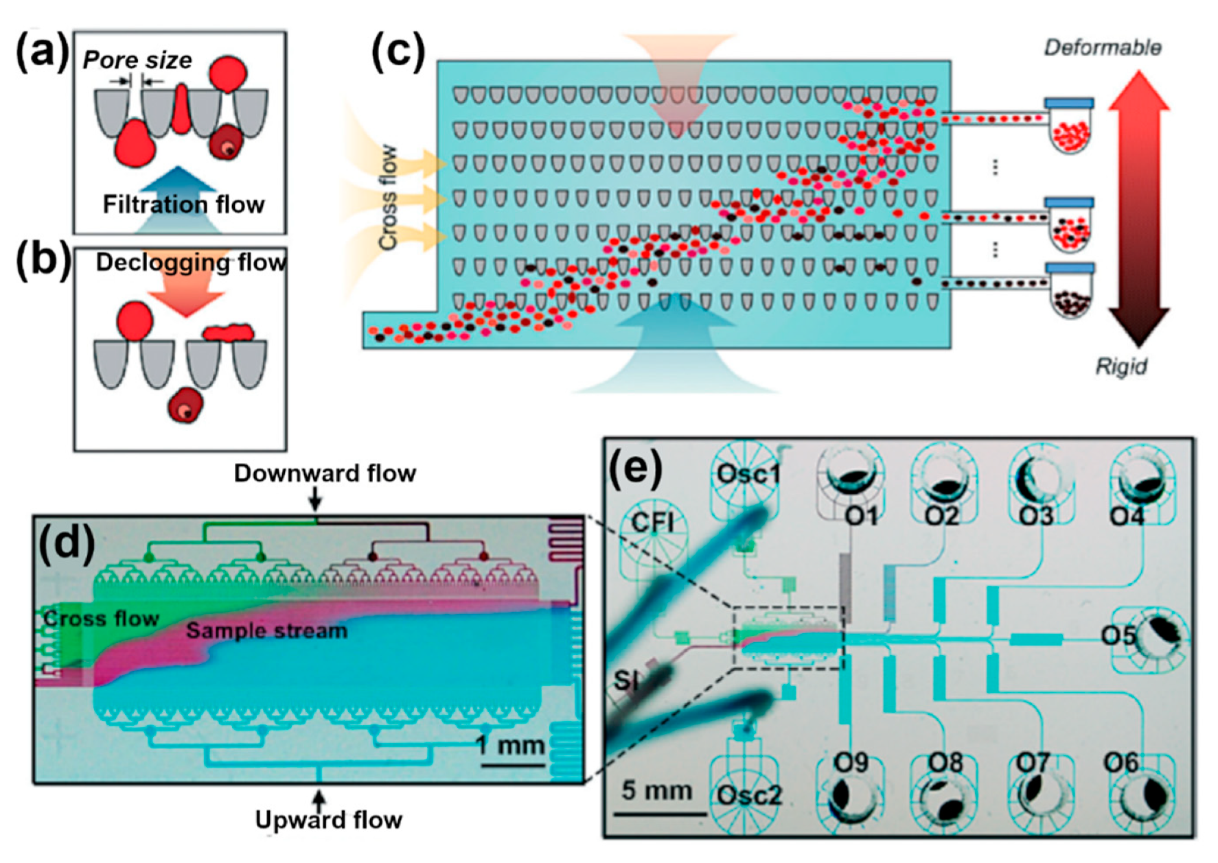 Micromachines 11 00468 g004