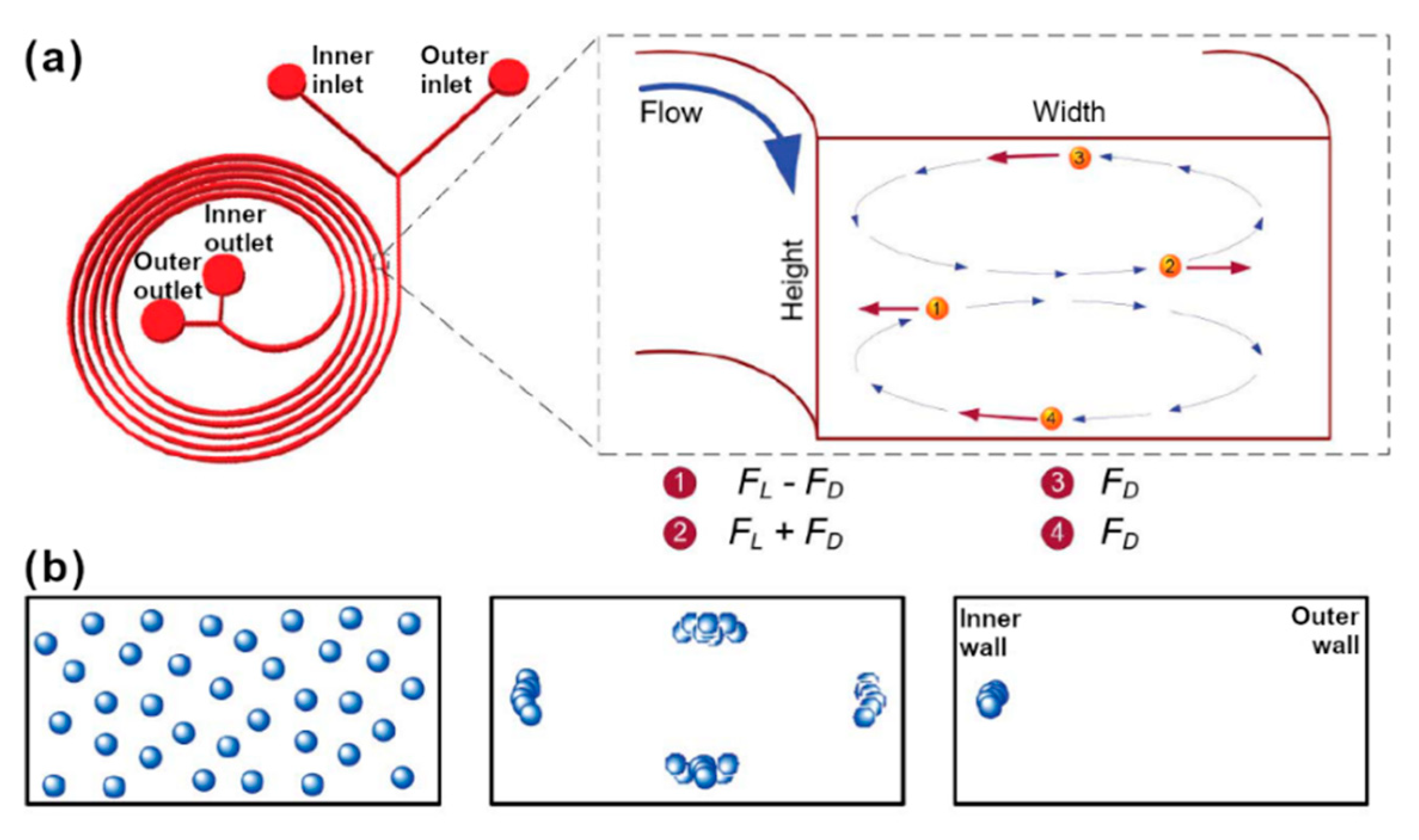 Micromachines 11 00468 g005