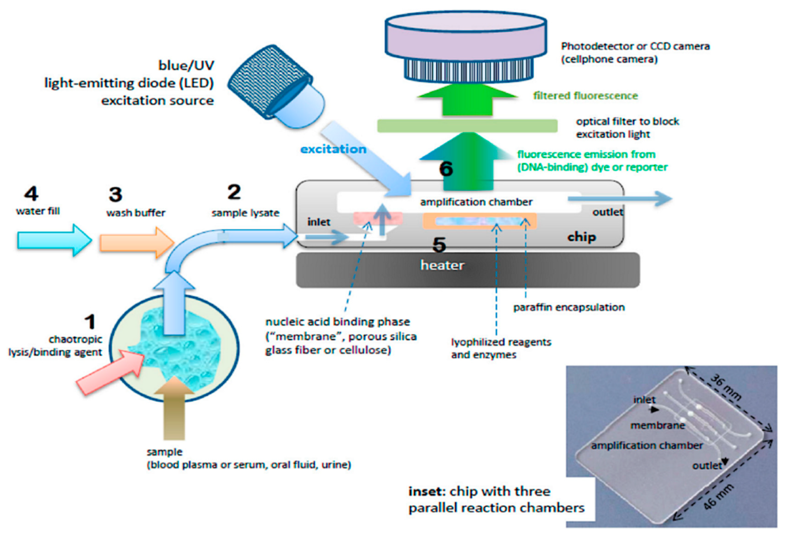 Micromachines 11 00468 g012