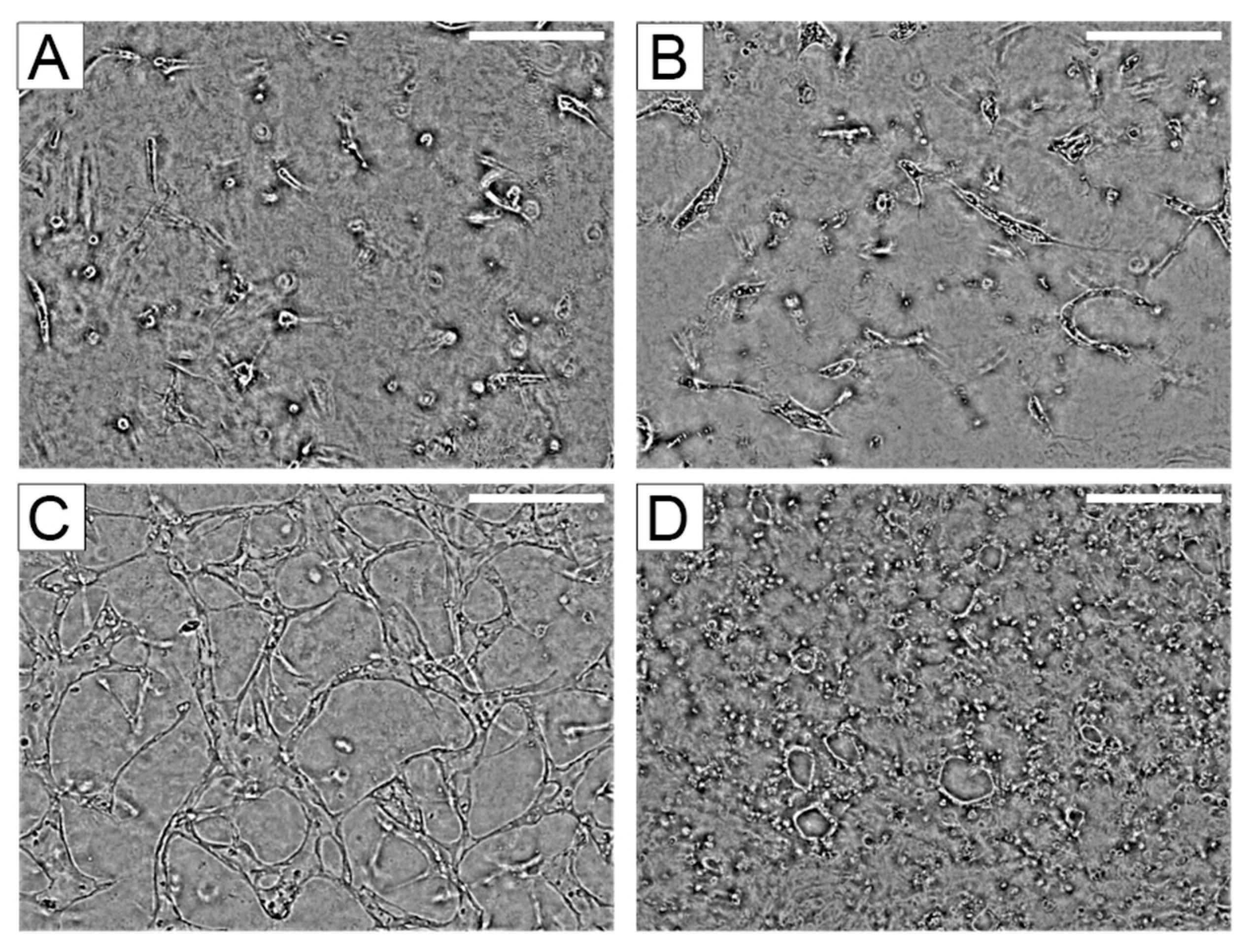 Micromachines 11 00475 g003 Micromachines 11 00475 g003