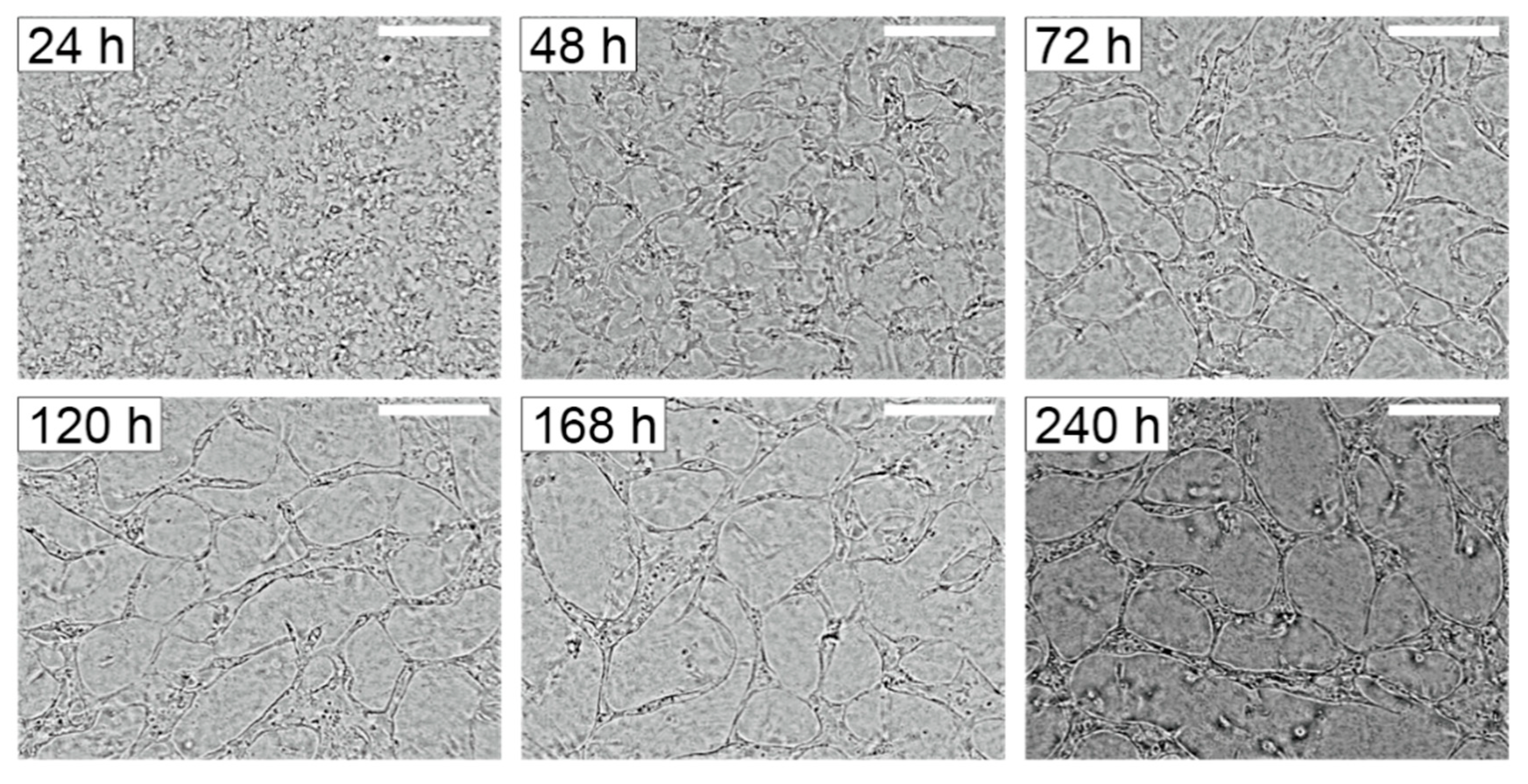 Micromachines 11 00475 g004 Micromachines 11 00475 g004