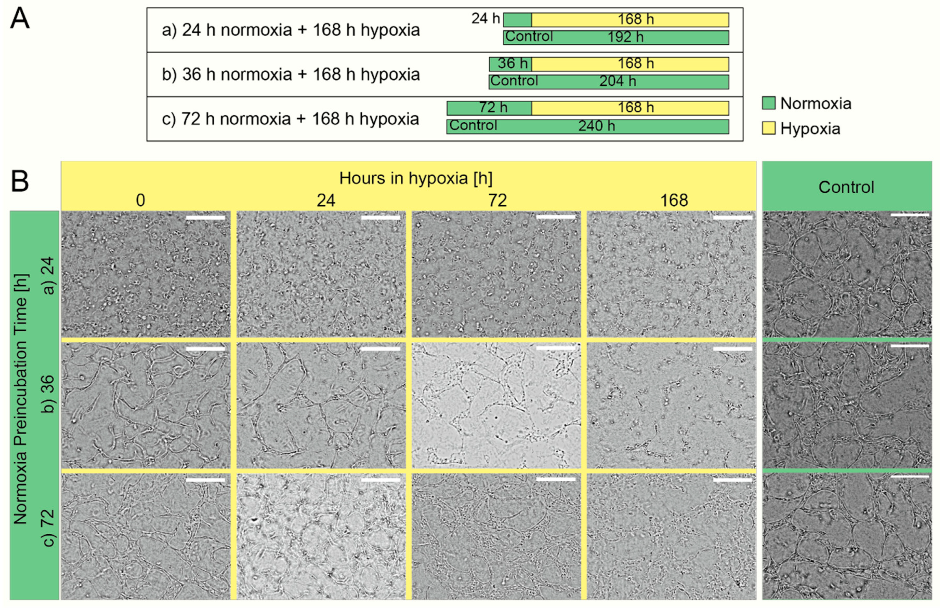 Micromachines 11 00475 g005 Micromachines 11 00475 g005