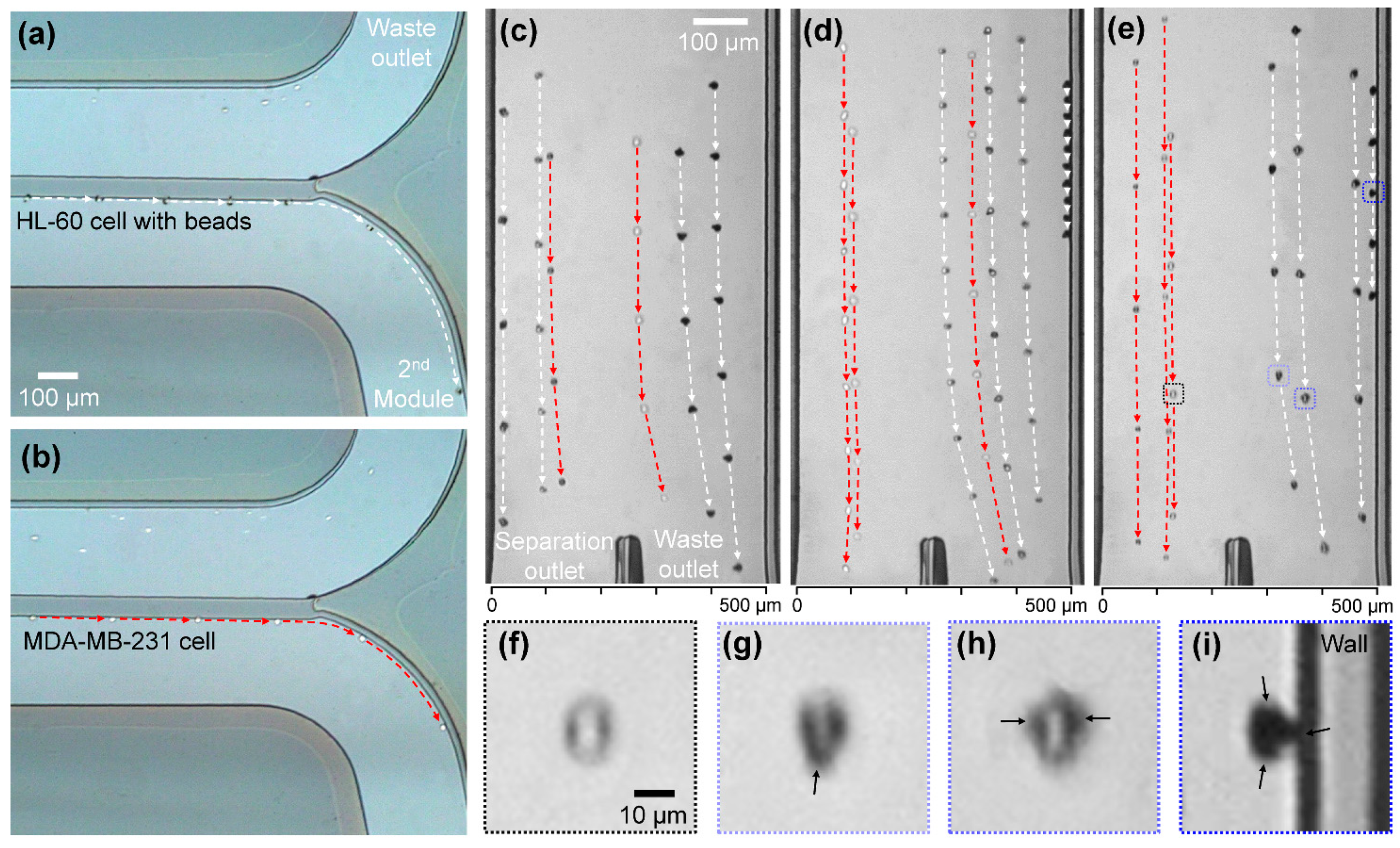 Micromachines 11 00481 g002 Micromachines 11 00481 g002