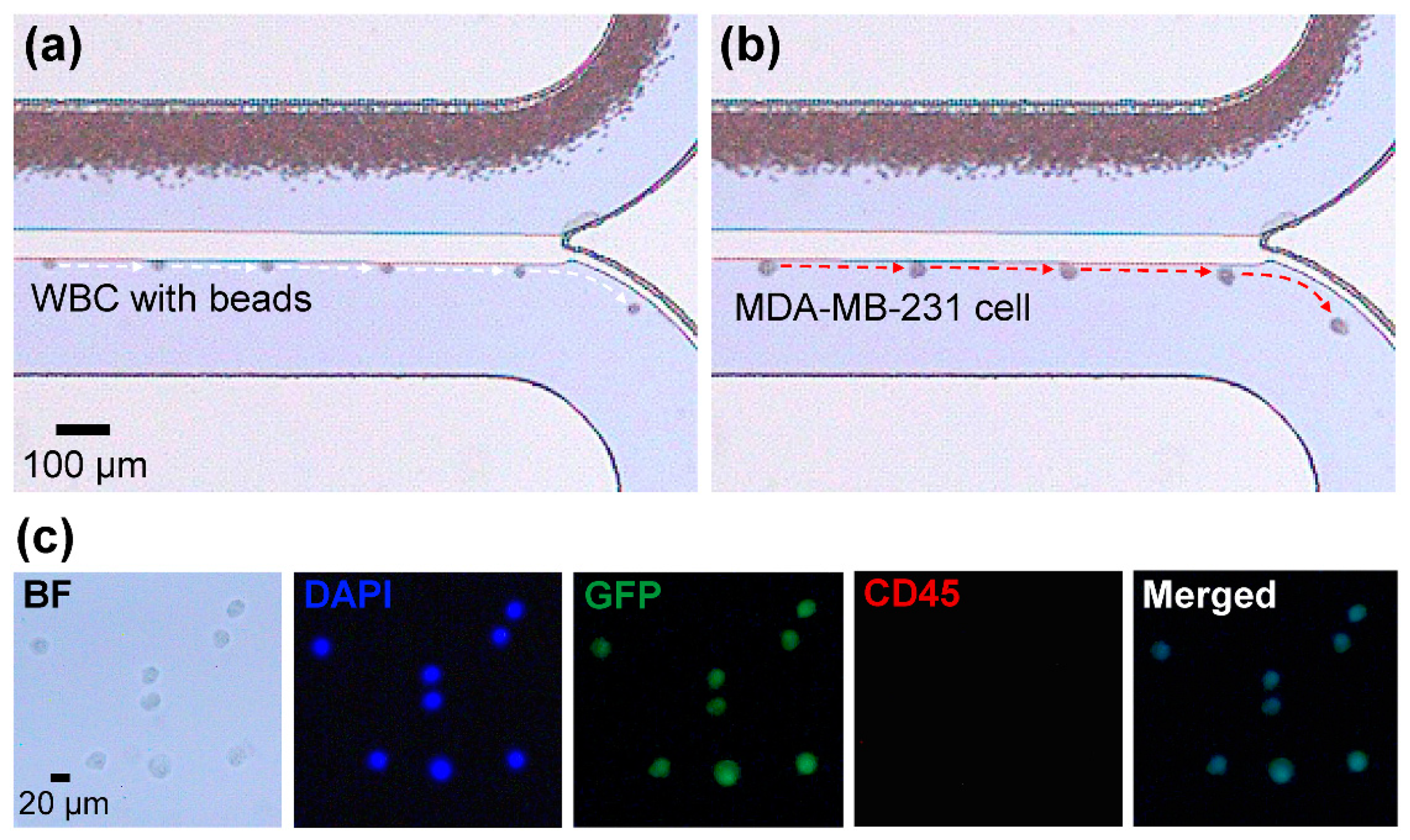 Micromachines 11 00481 g004 Micromachines 11 00481 g004