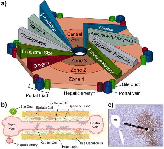 Micromachines 11 00487 g001