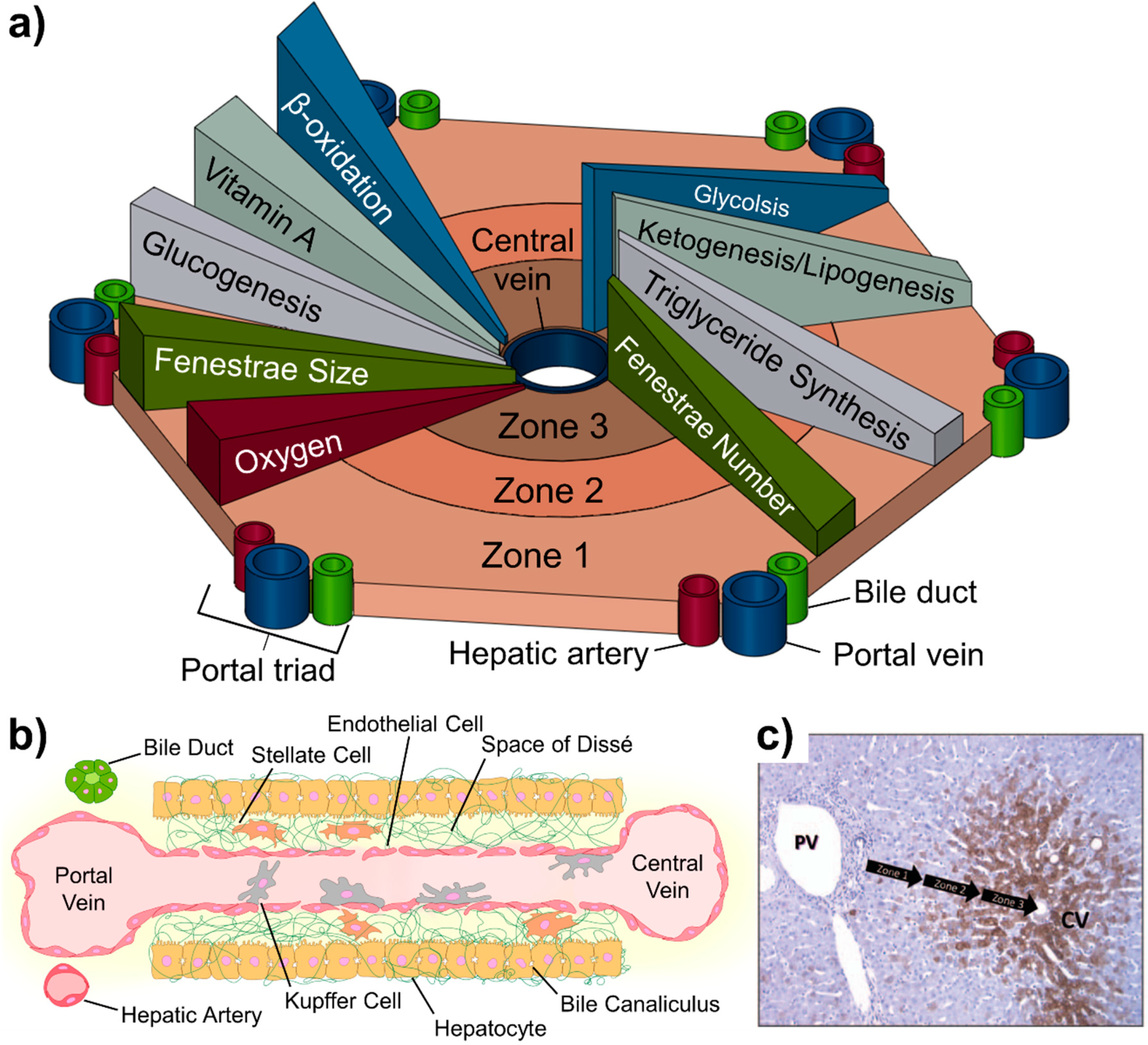 Micromachines 11 00487 g001