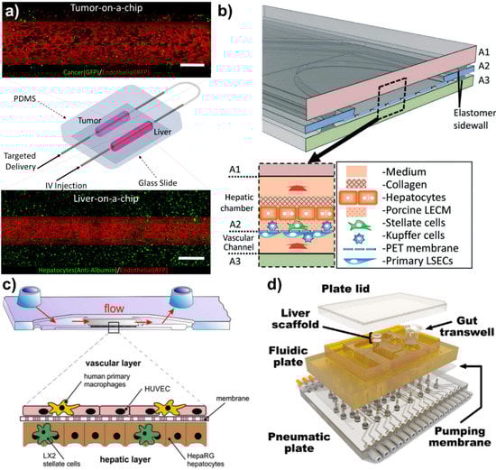 Micromachines 11 00487 g002